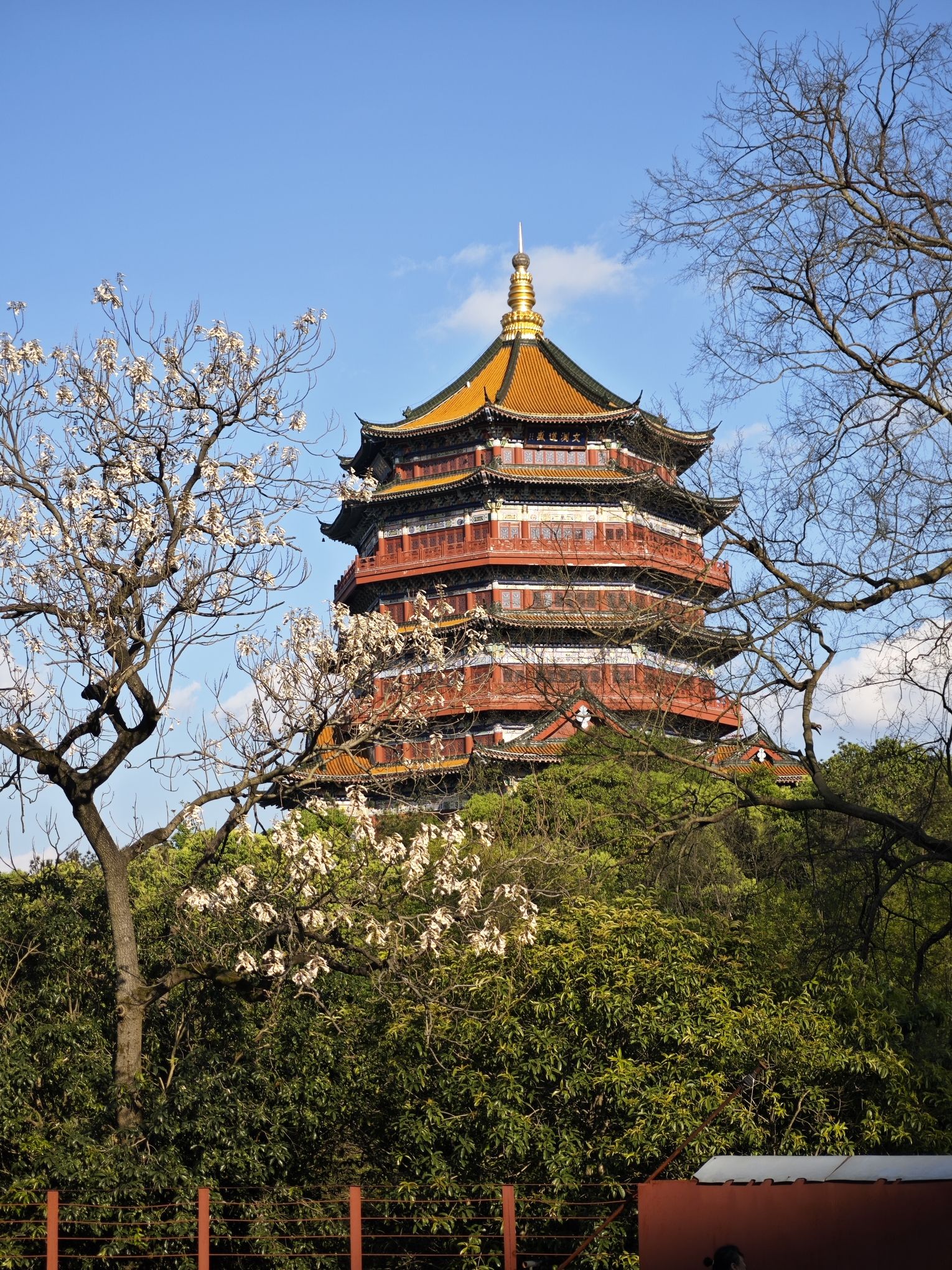 鹰潭公园旅行图片 3