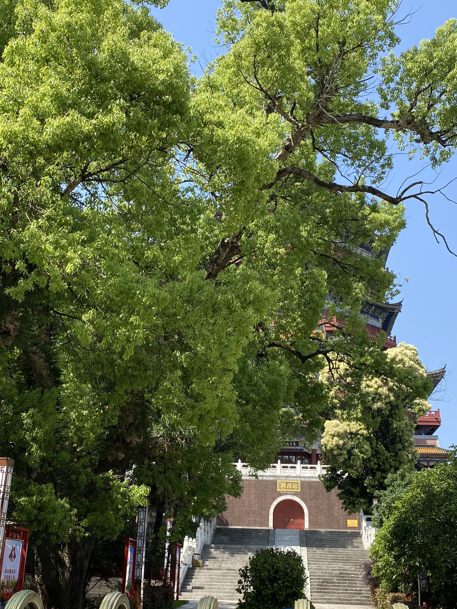 鹰潭滨江公园旅行图片 1