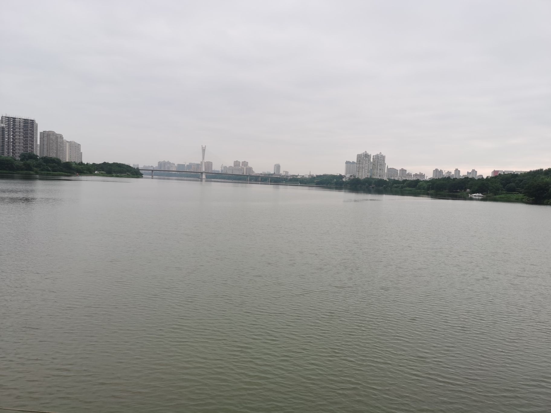 鹰潭滨江公园旅行图片 1