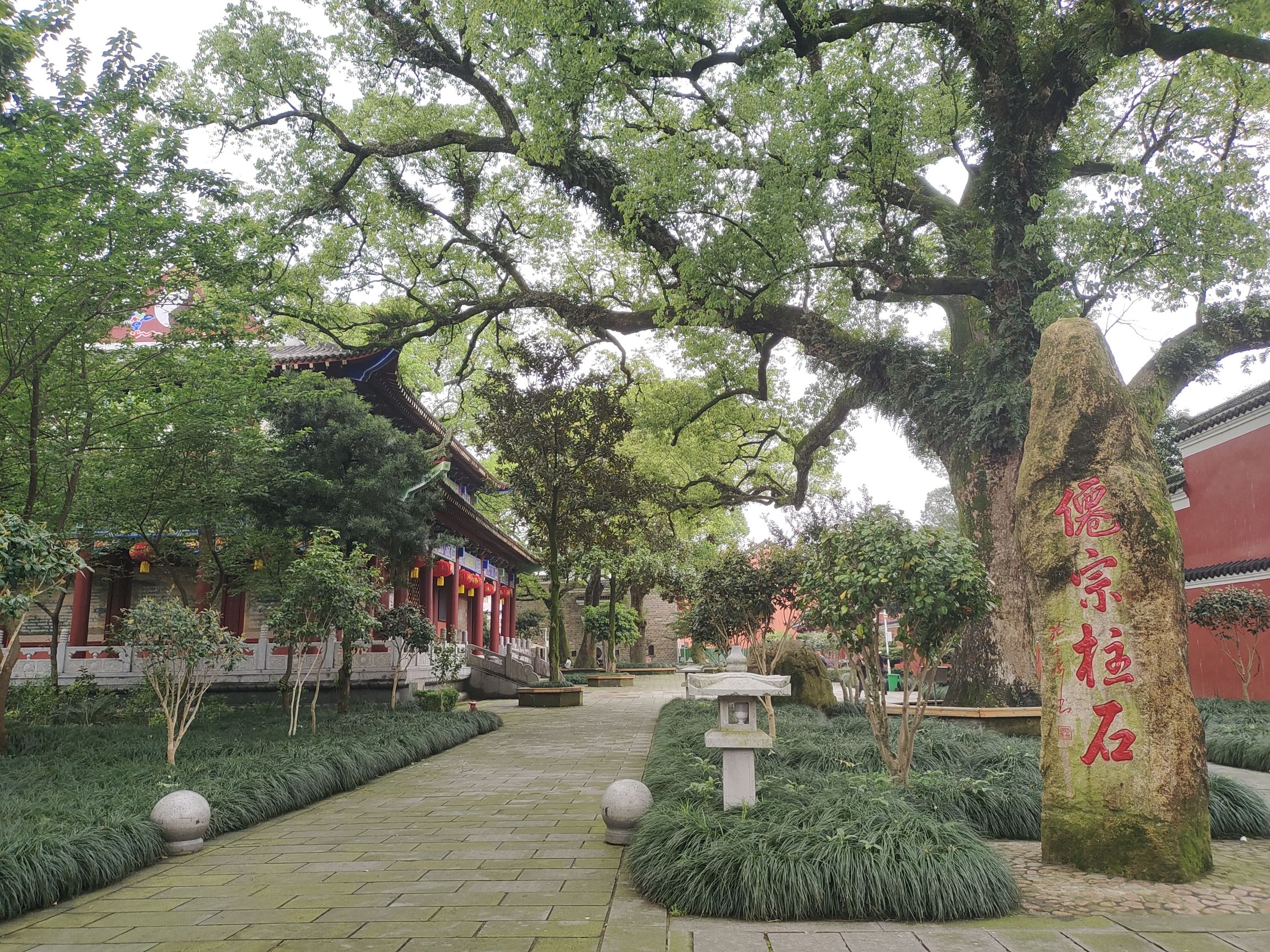 龙虎山国家级旅游风景区旅行图片 3