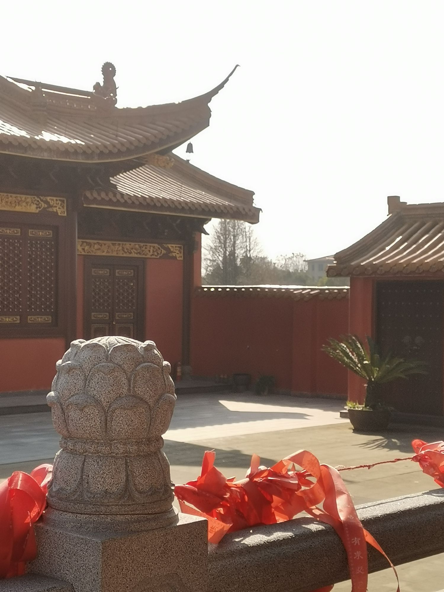 月湖岩公园旅行图片 1