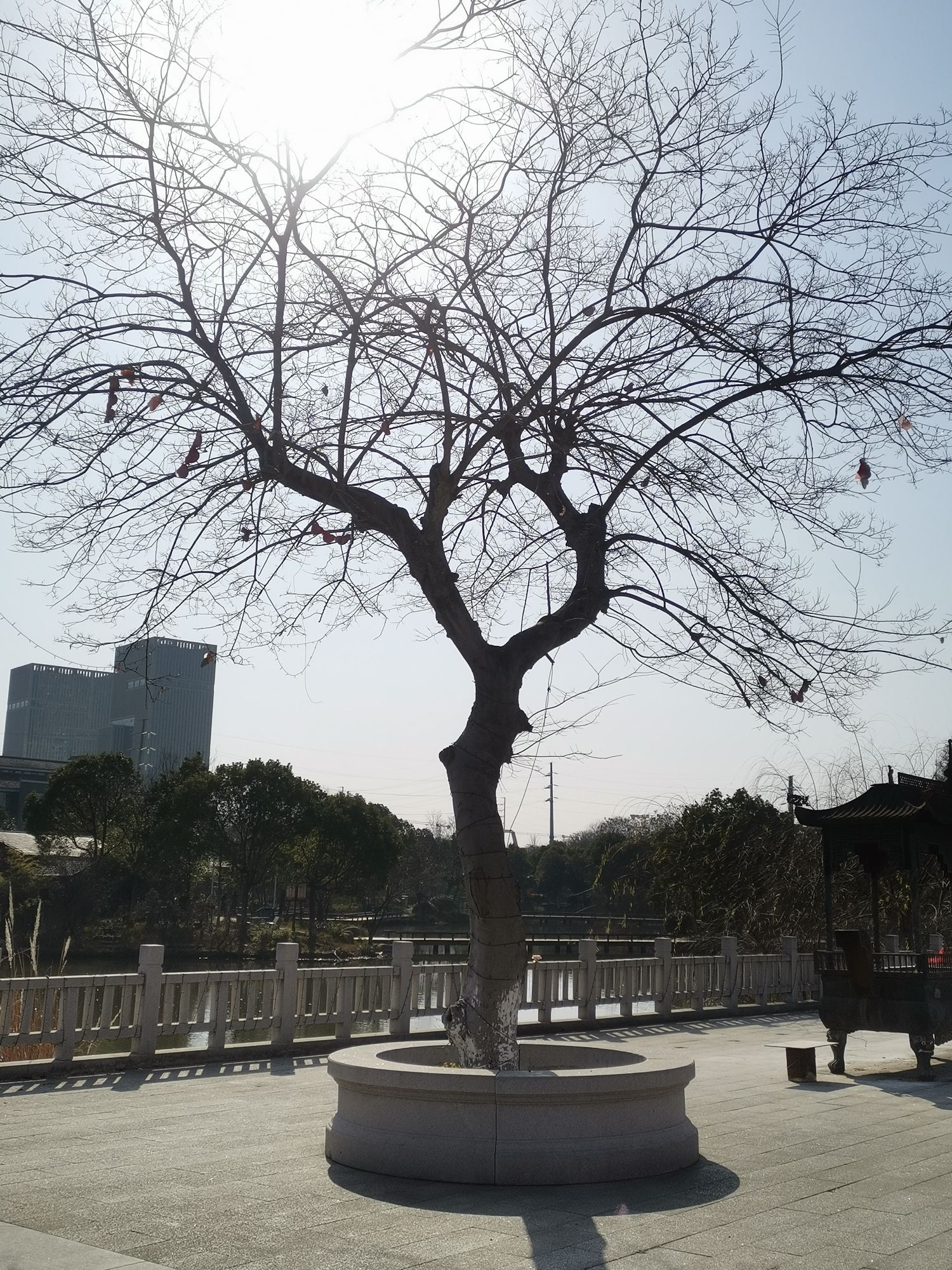 月湖岩公园旅行图片 3