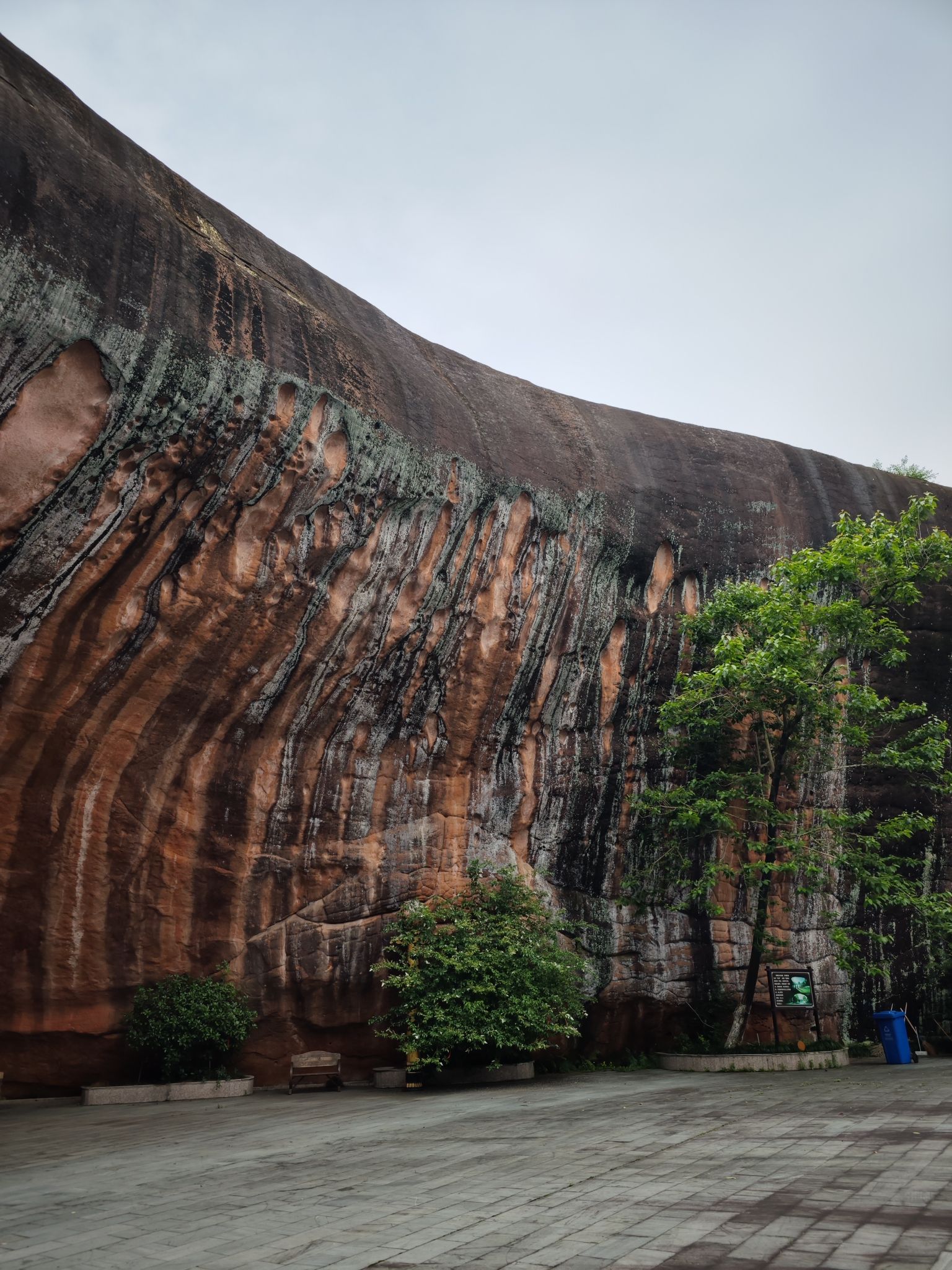 月湖岩公园旅行图片 3
