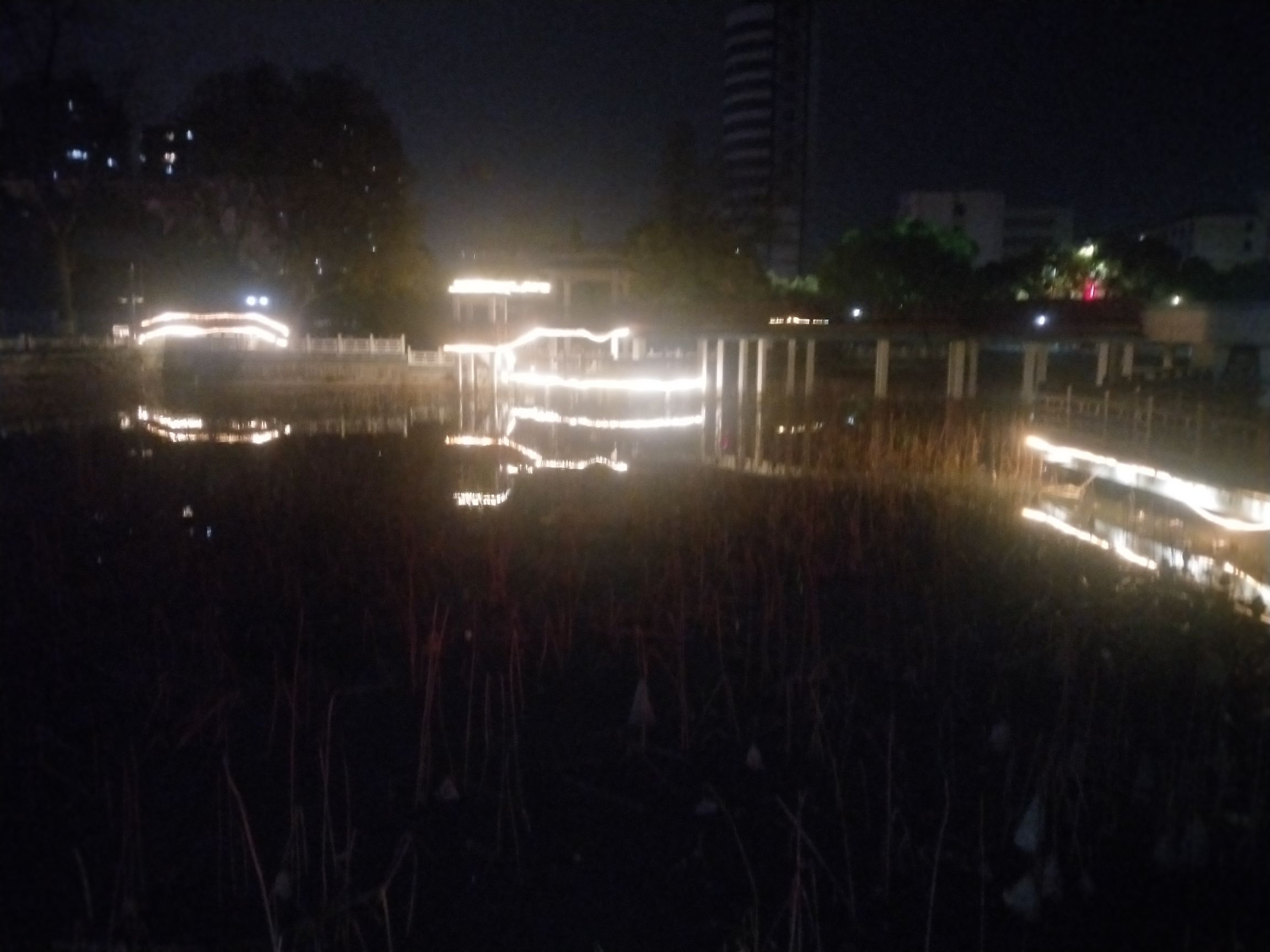 翠湖公园旅行图片 2