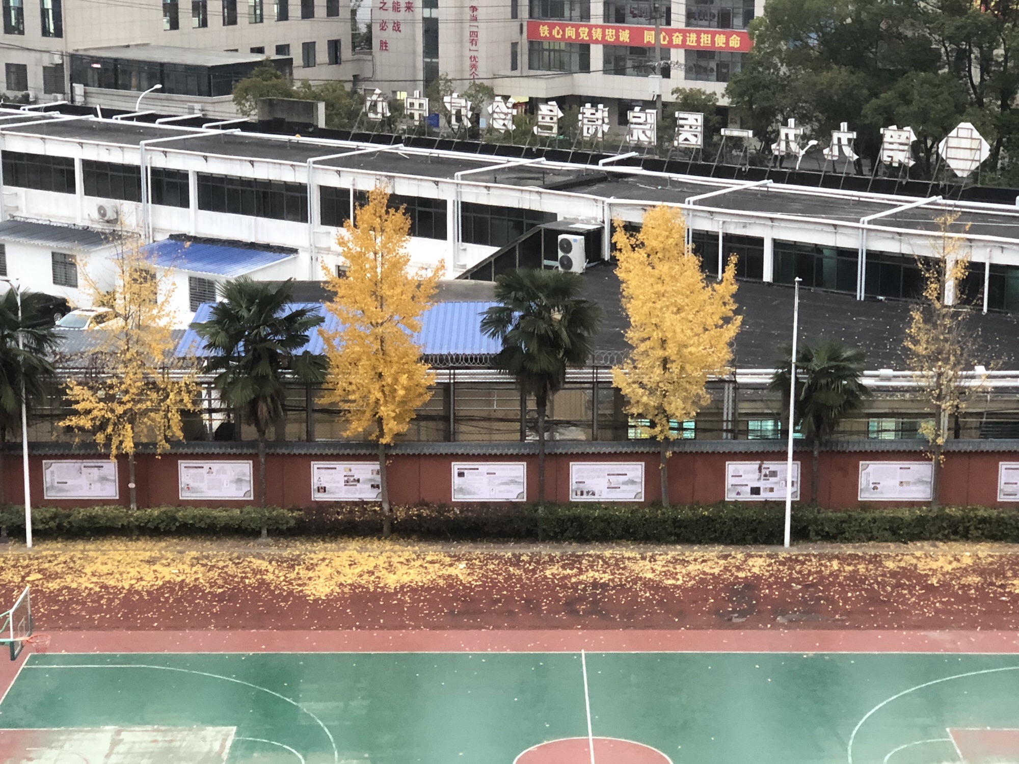 襄阳市第九中学