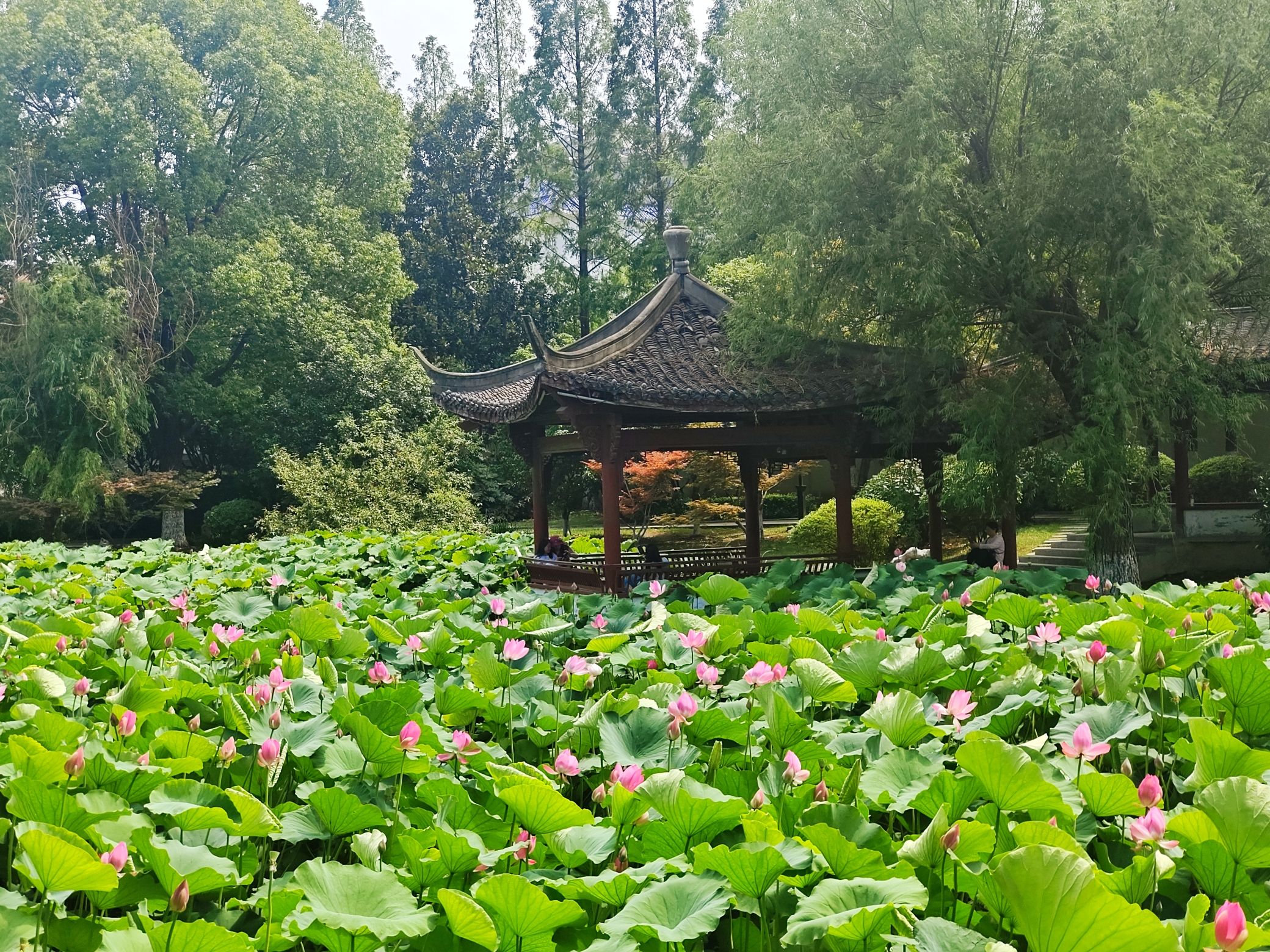 襄阳水上公园-荟园