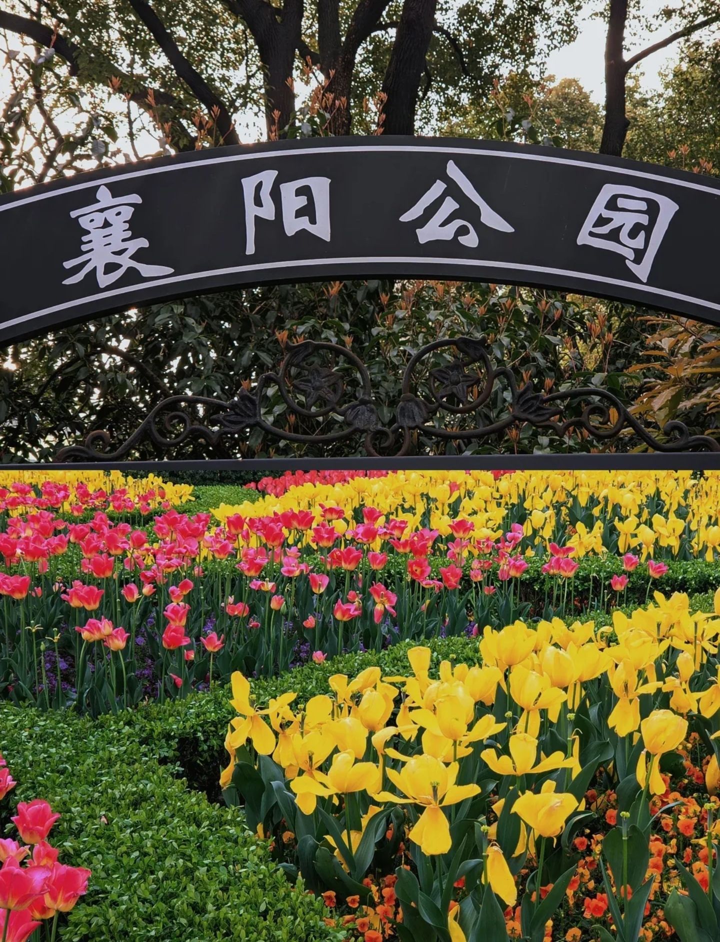 襄阳公园景点图片