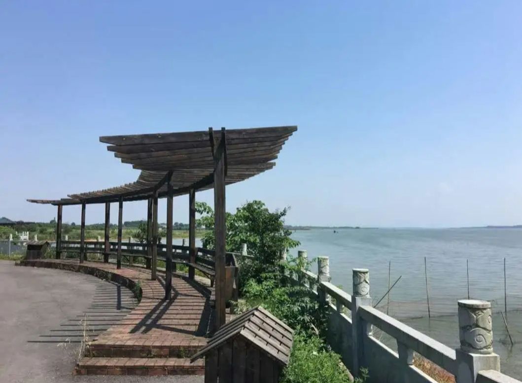 梁子湖生态旅游区旅行图片 3