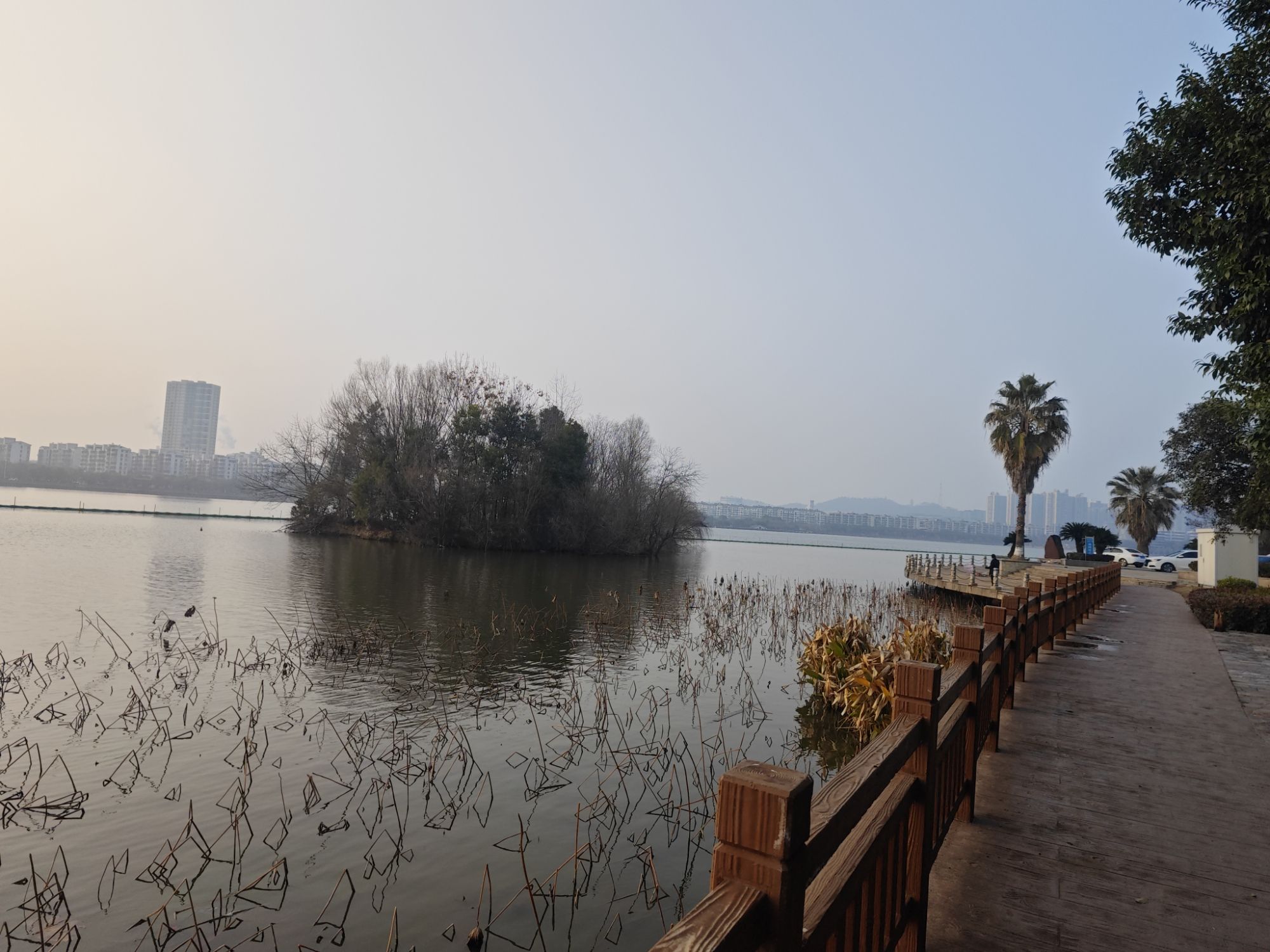 鄂州市洋澜湖生态公园
