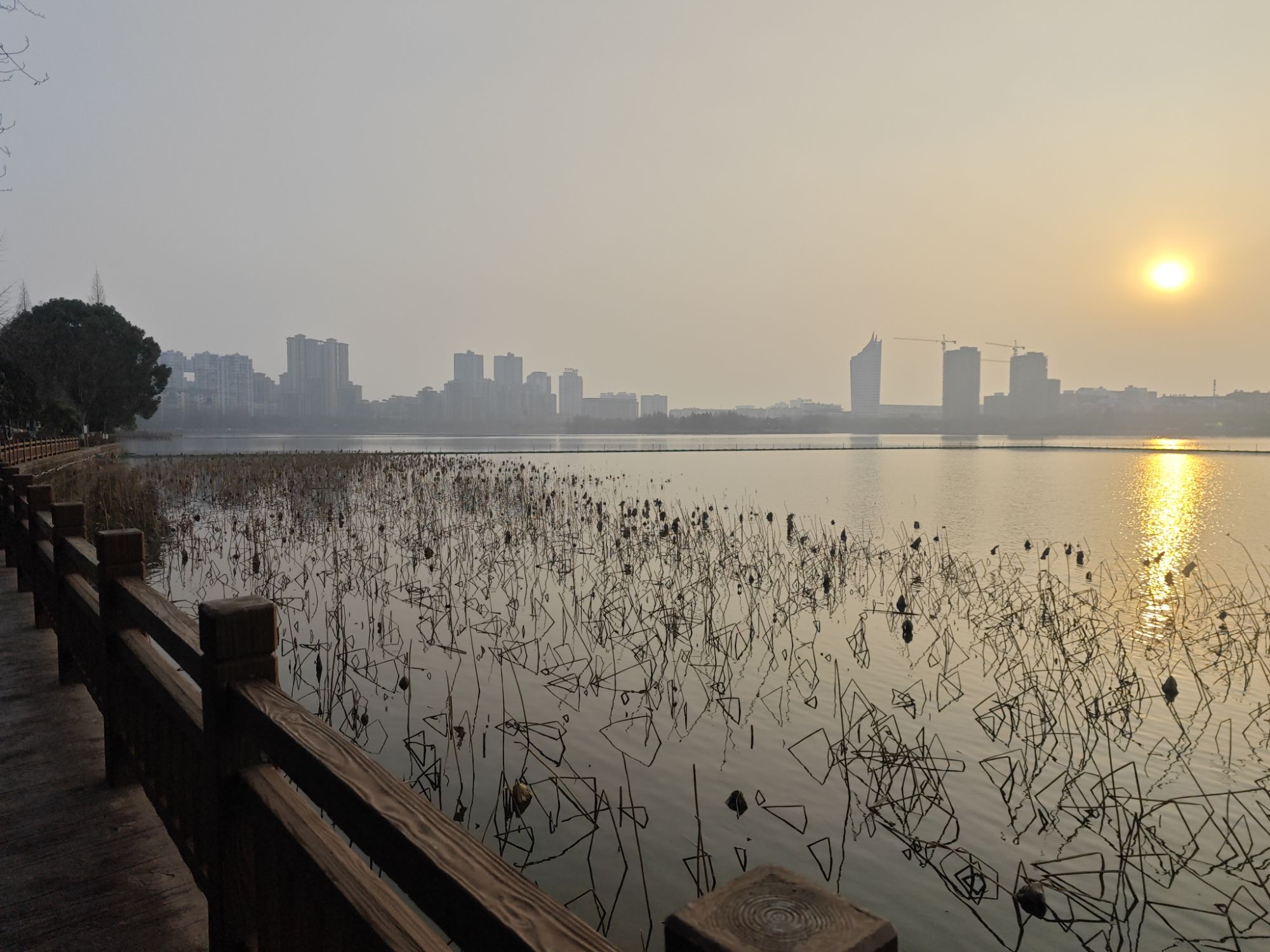 鄂州市洋澜湖生态公园