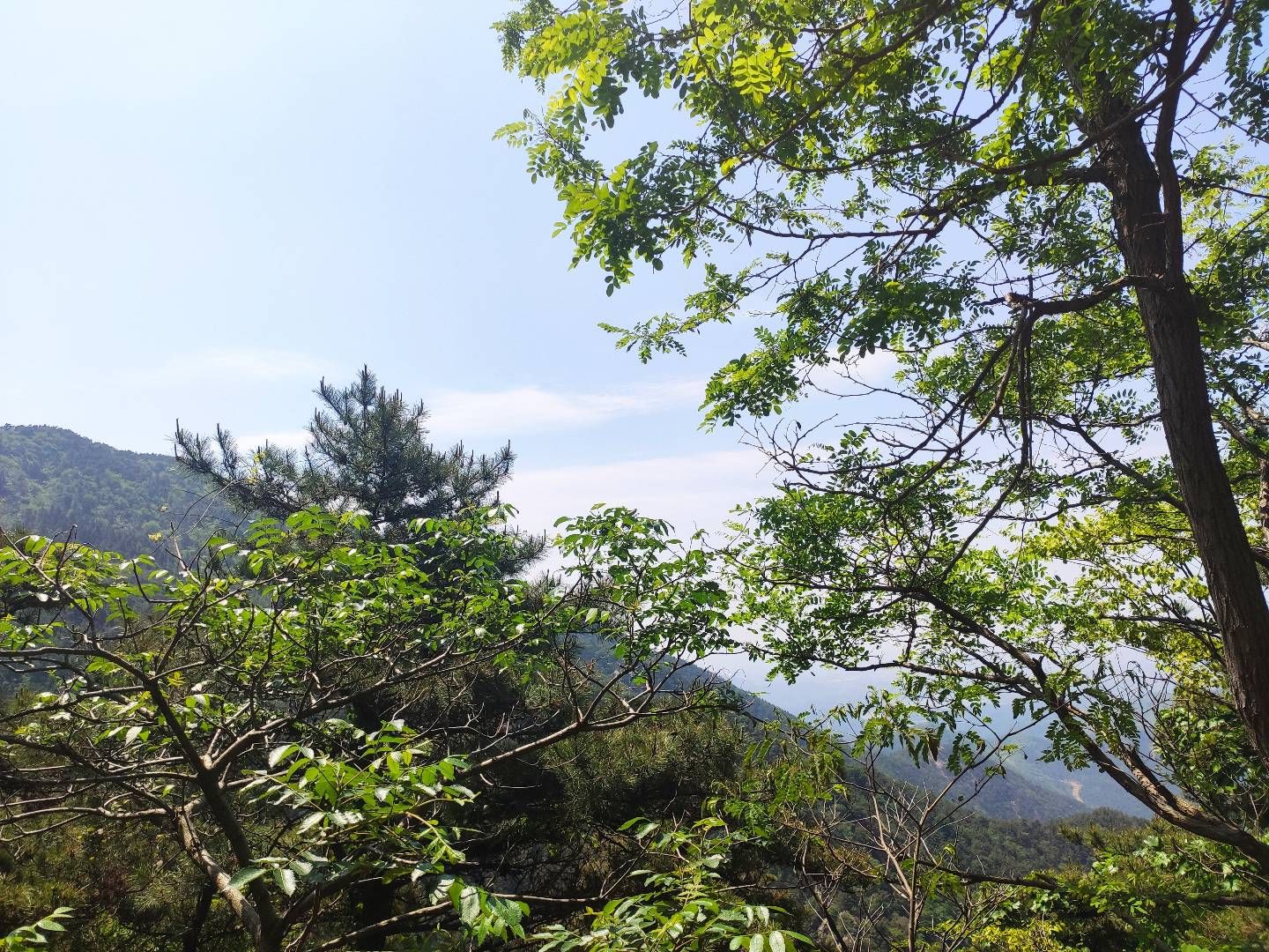 孝感市双峰山旅游度假区旅行图片 3