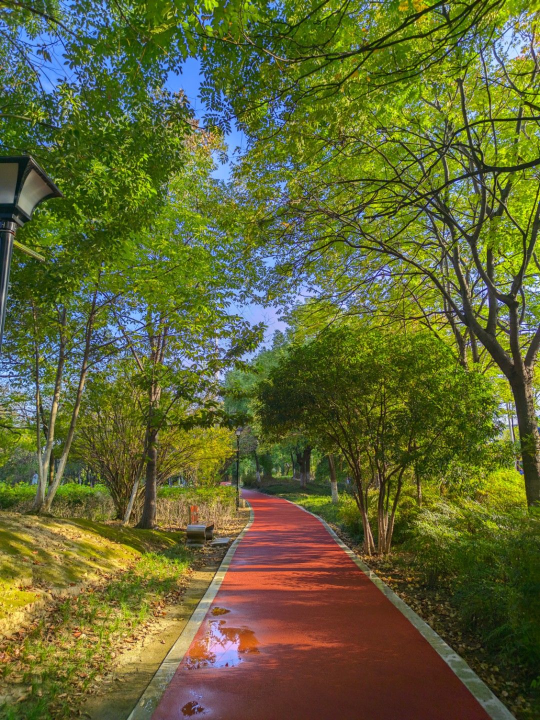 槐荫公园
