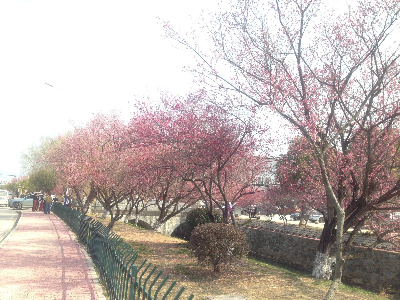 梅川广场旅行图片 1