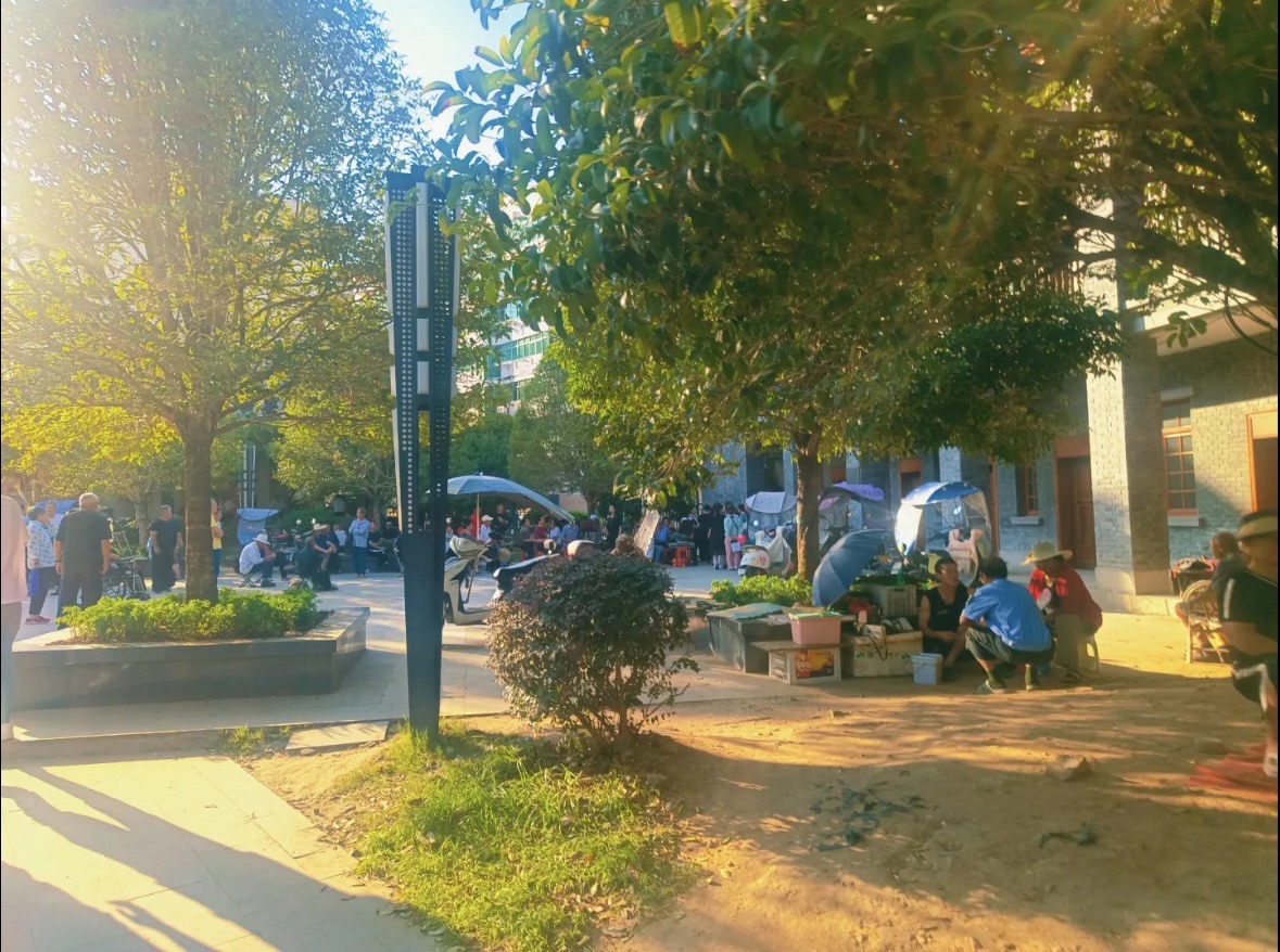 小龙潭公园旅行图片 2
