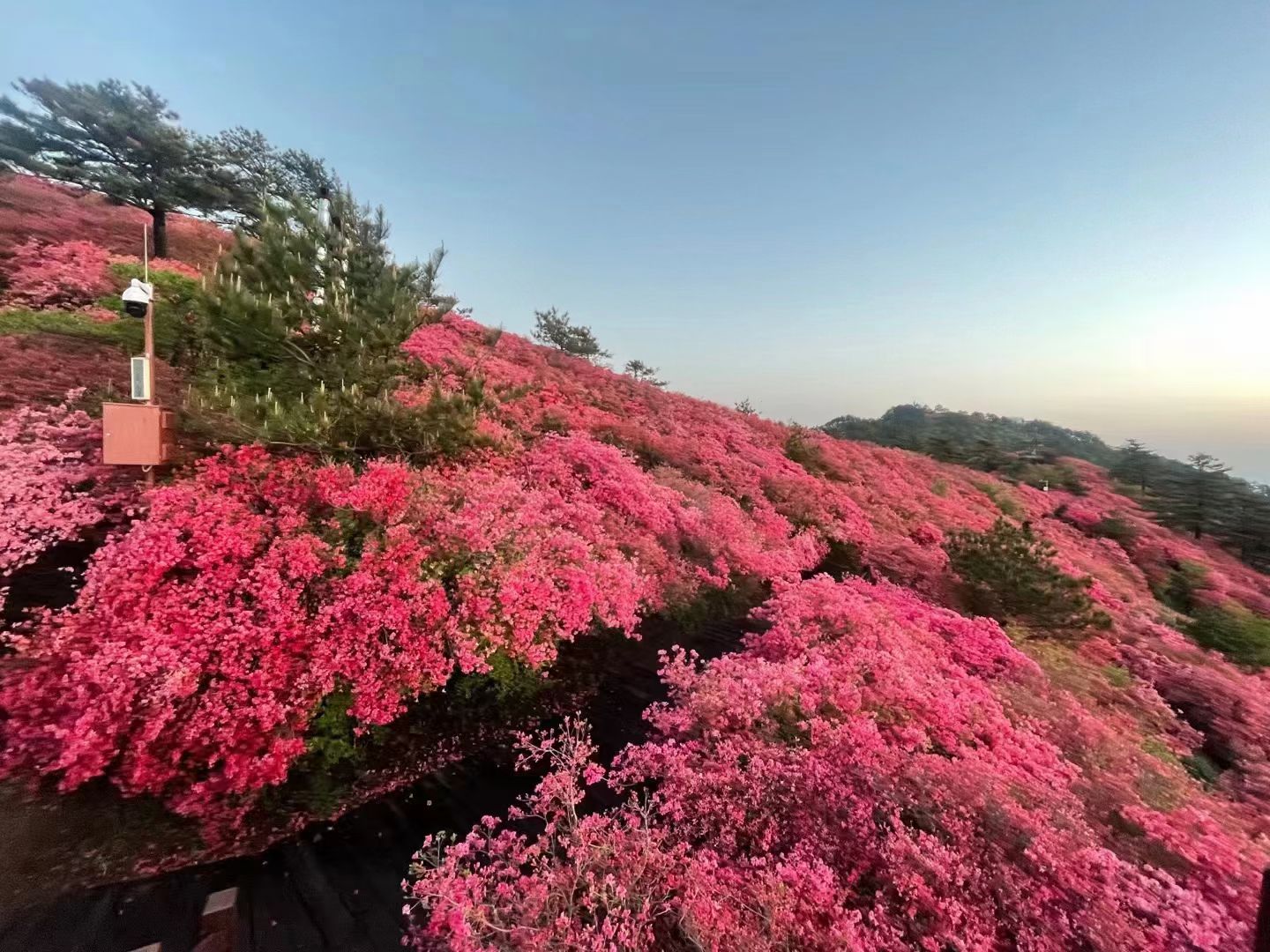 龟峰山景区