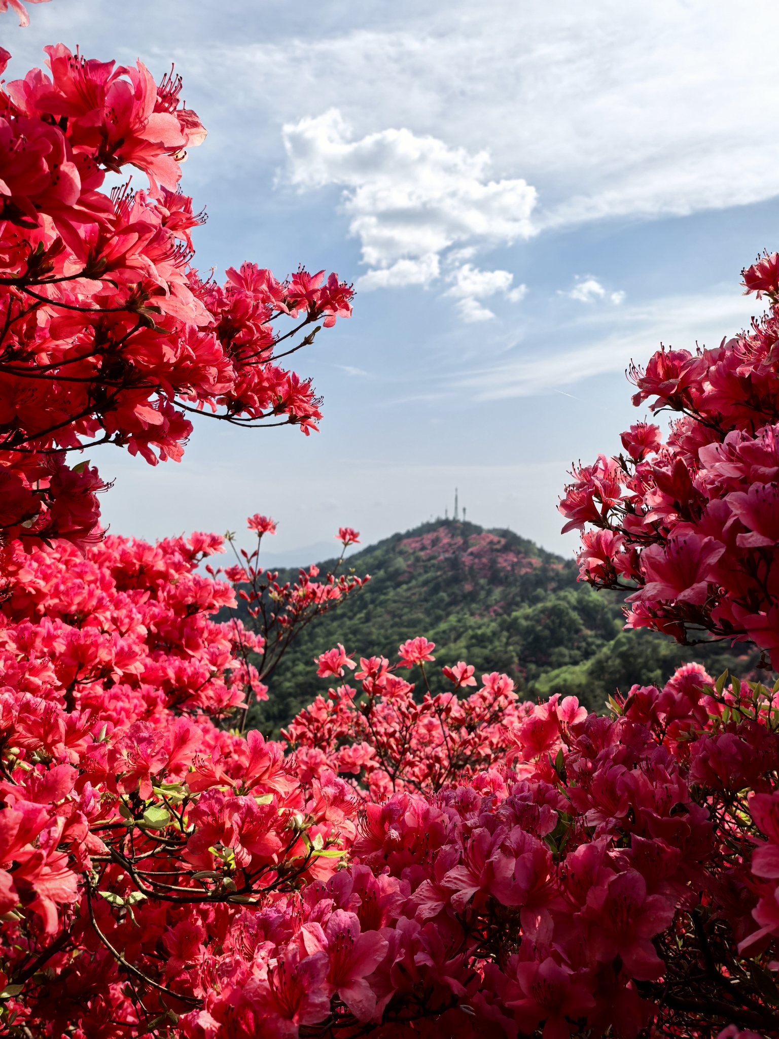 龟峰山景区