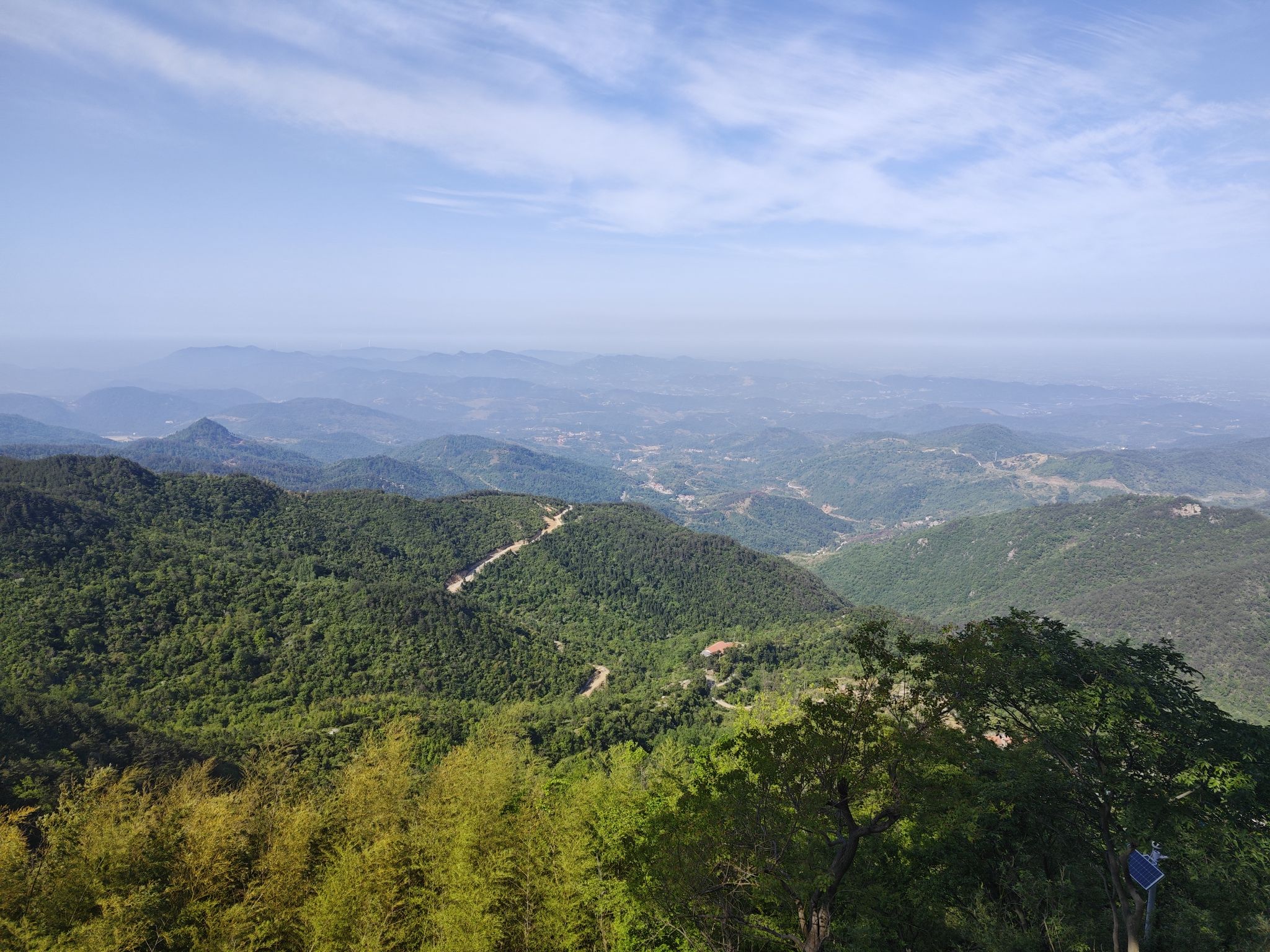 大崎山森林公园