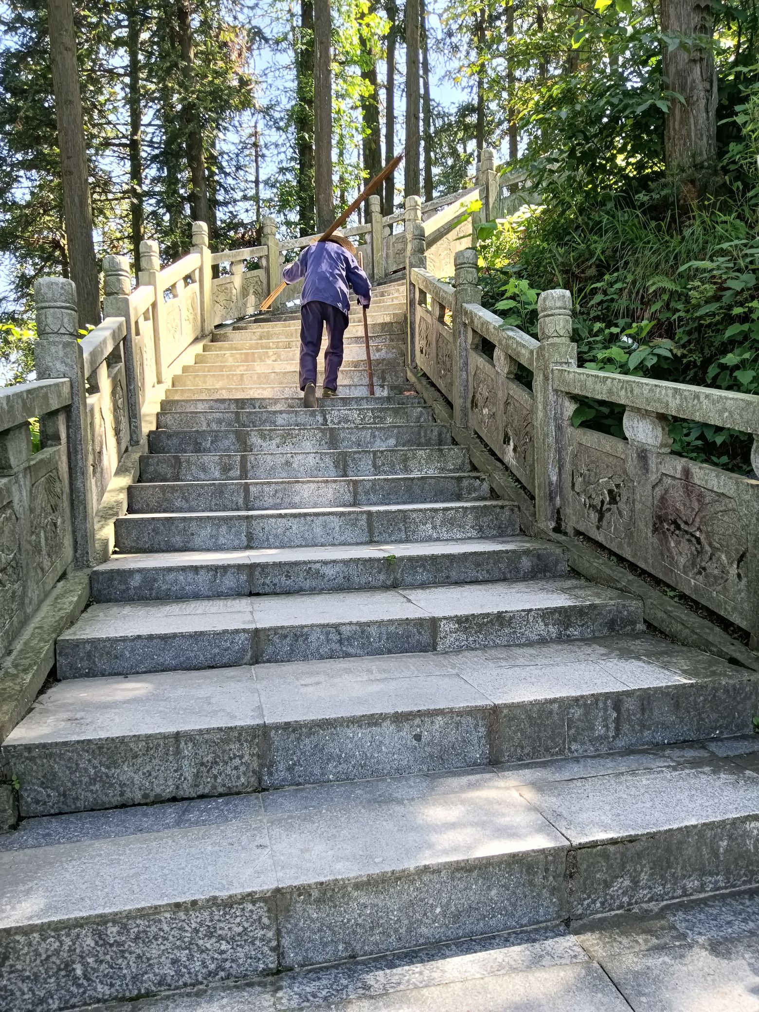 横岗山森林公园旅行图片 1