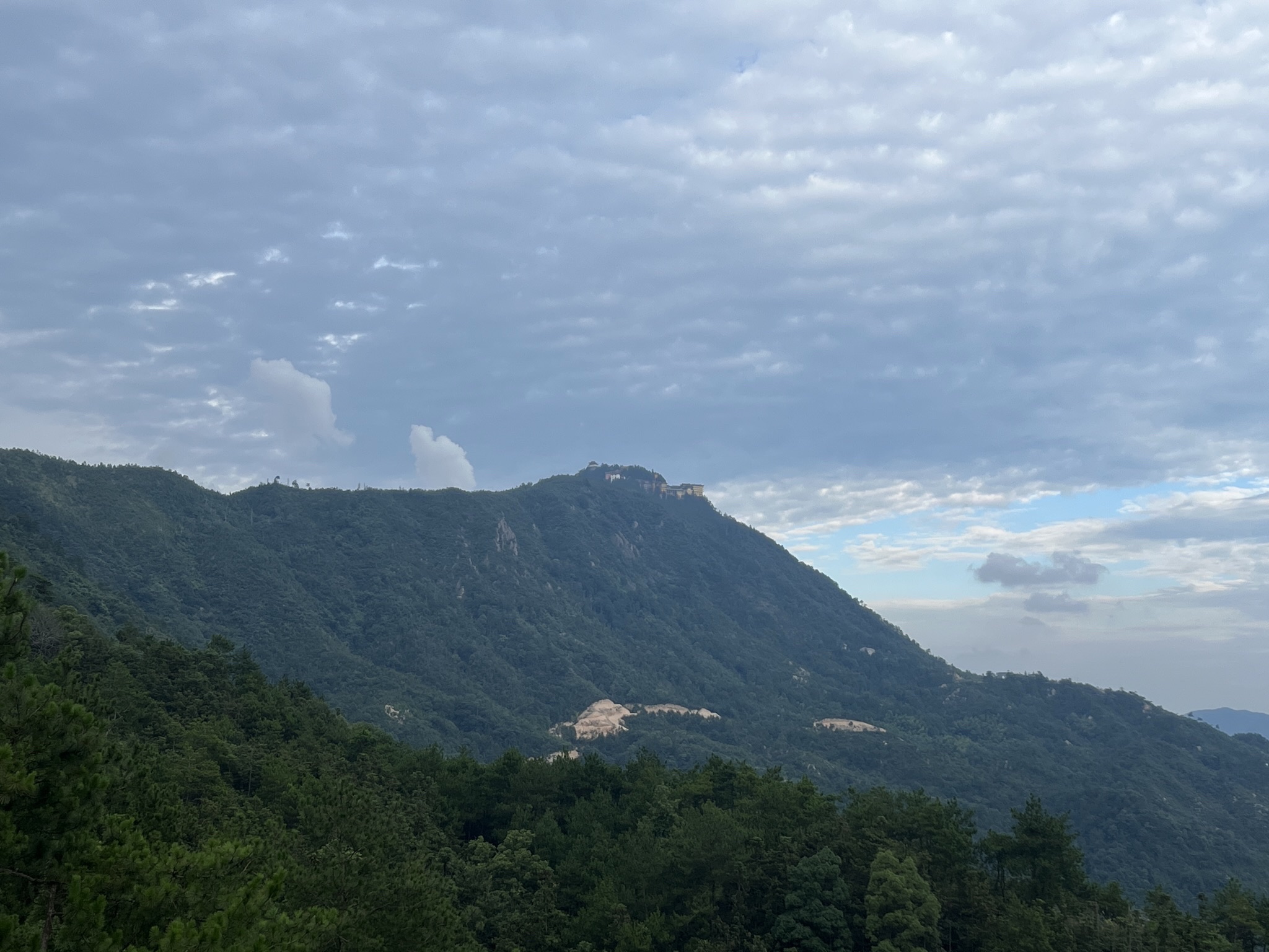横岗山森林公园旅行图片 1