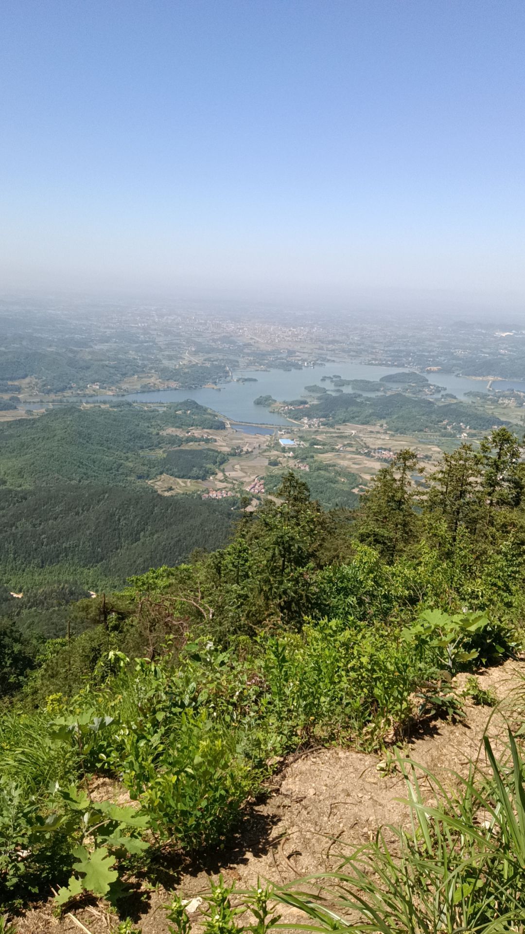 横岗山森林公园旅行图片 3