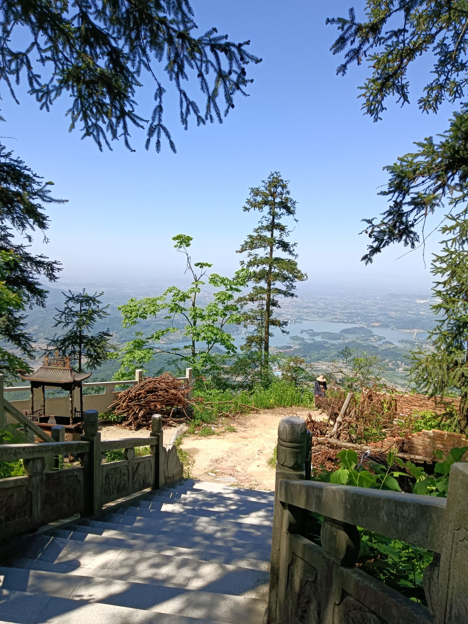 横岗山森林公园旅行图片 2