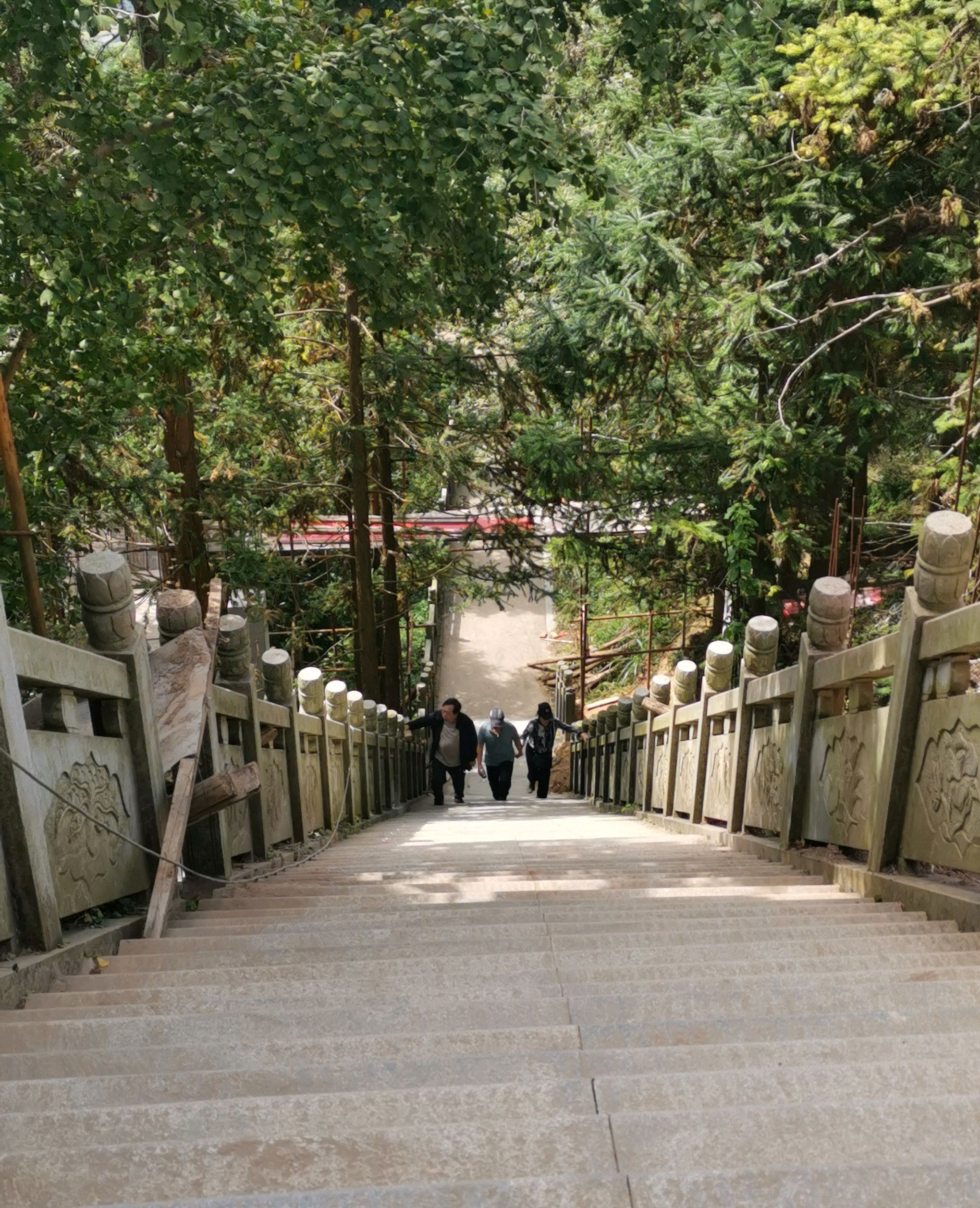横岗山森林公园旅行图片 3