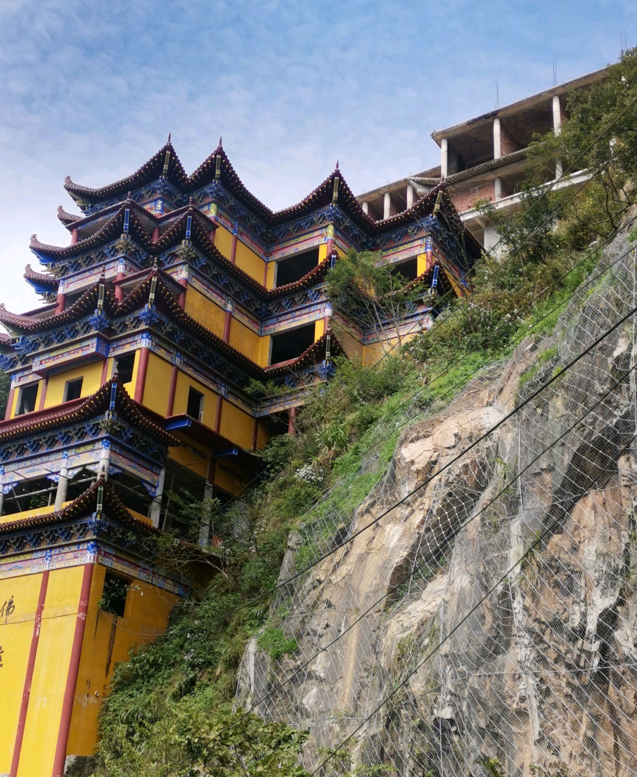横岗山森林公园旅行图片 2