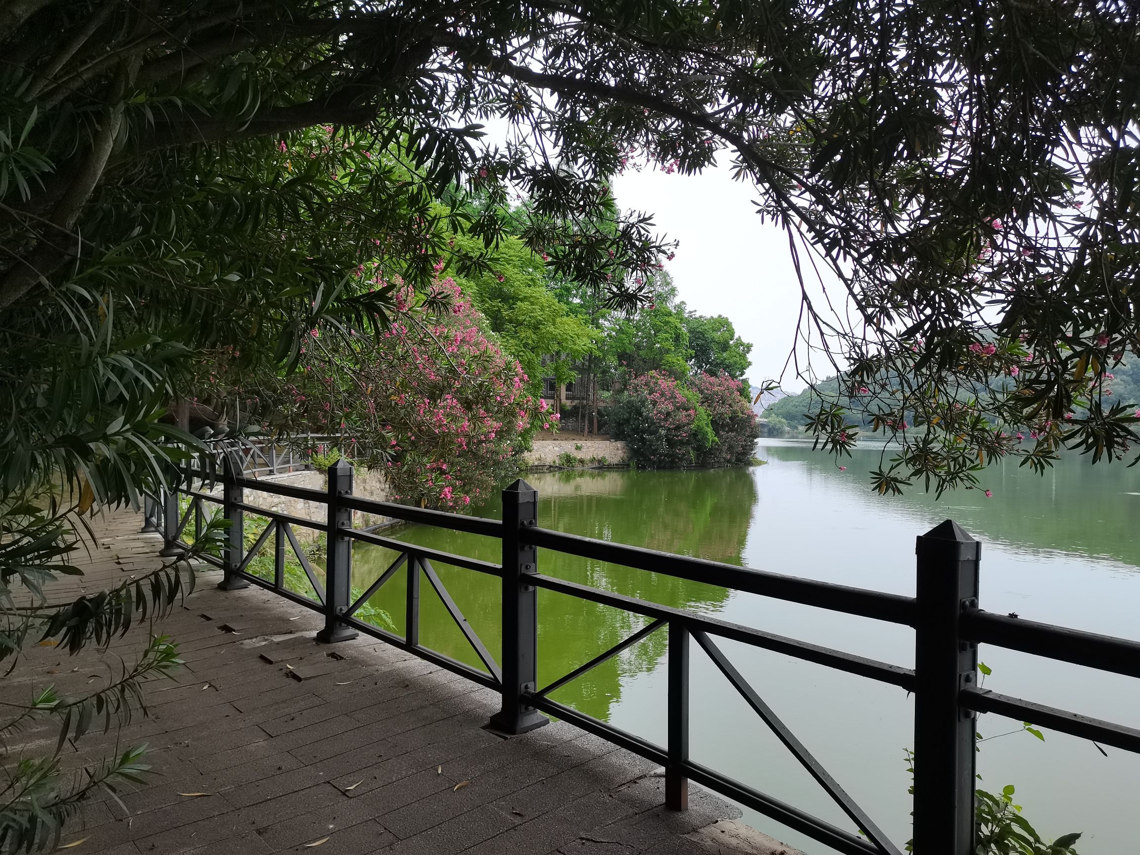 磁湖风景区旅行图片 3