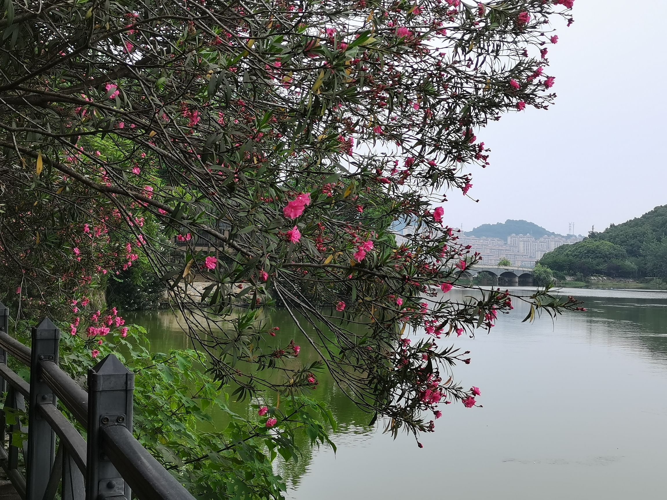 磁湖风景区旅行图片 2