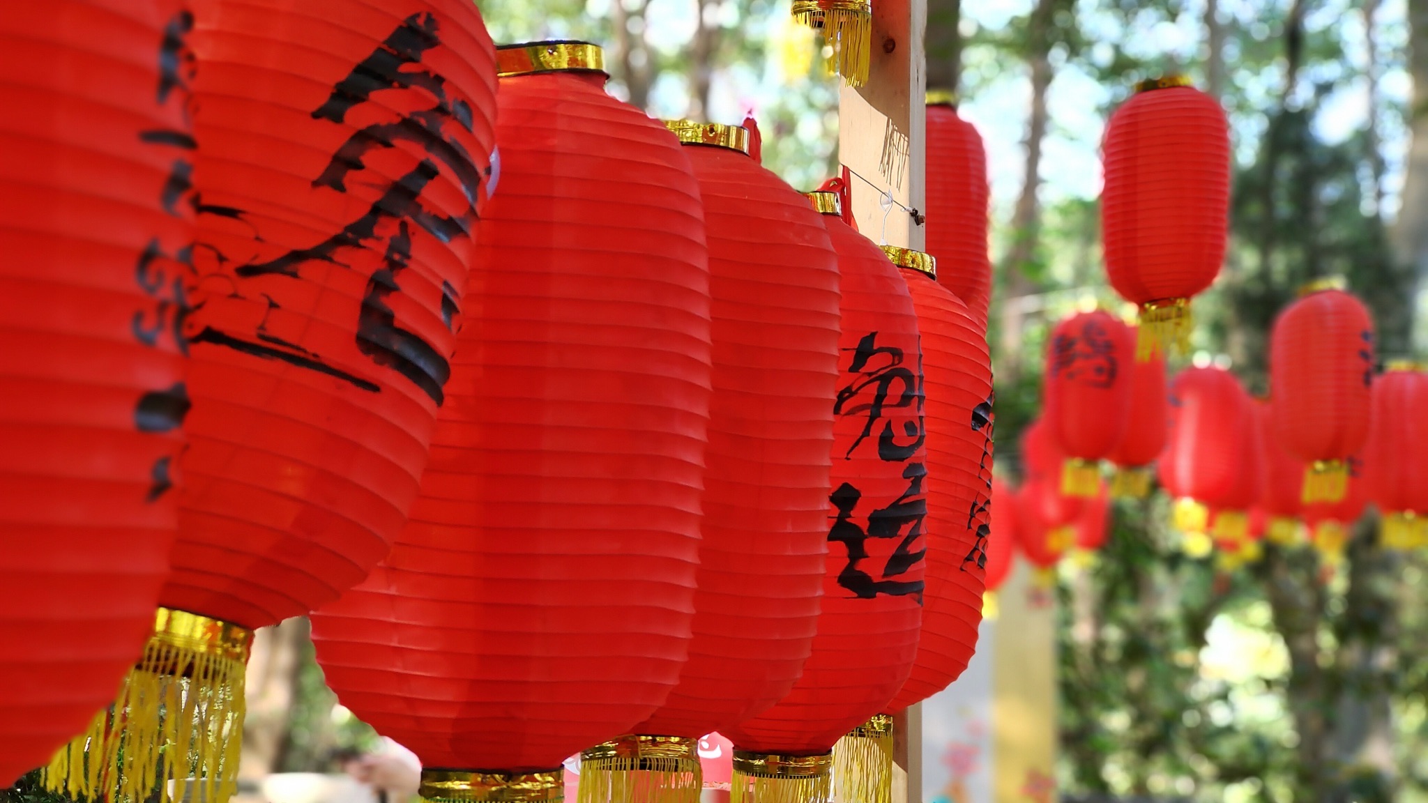 桂花广场旅行图片 1