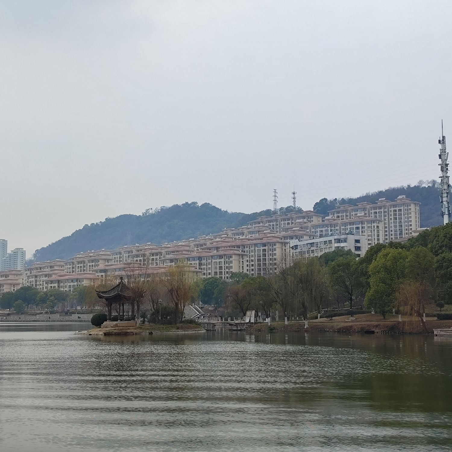 桂花广场旅行图片 1