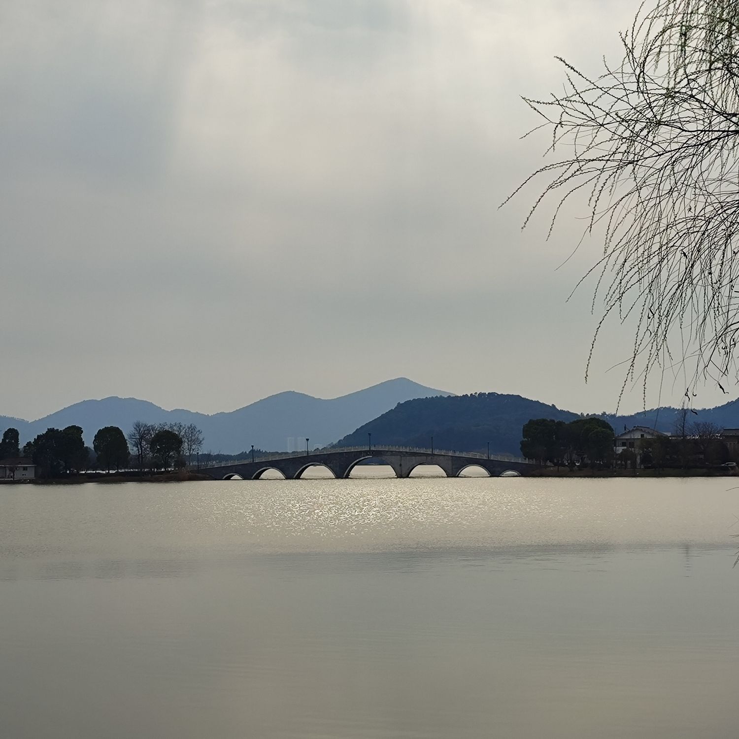 桂花广场旅行图片 2