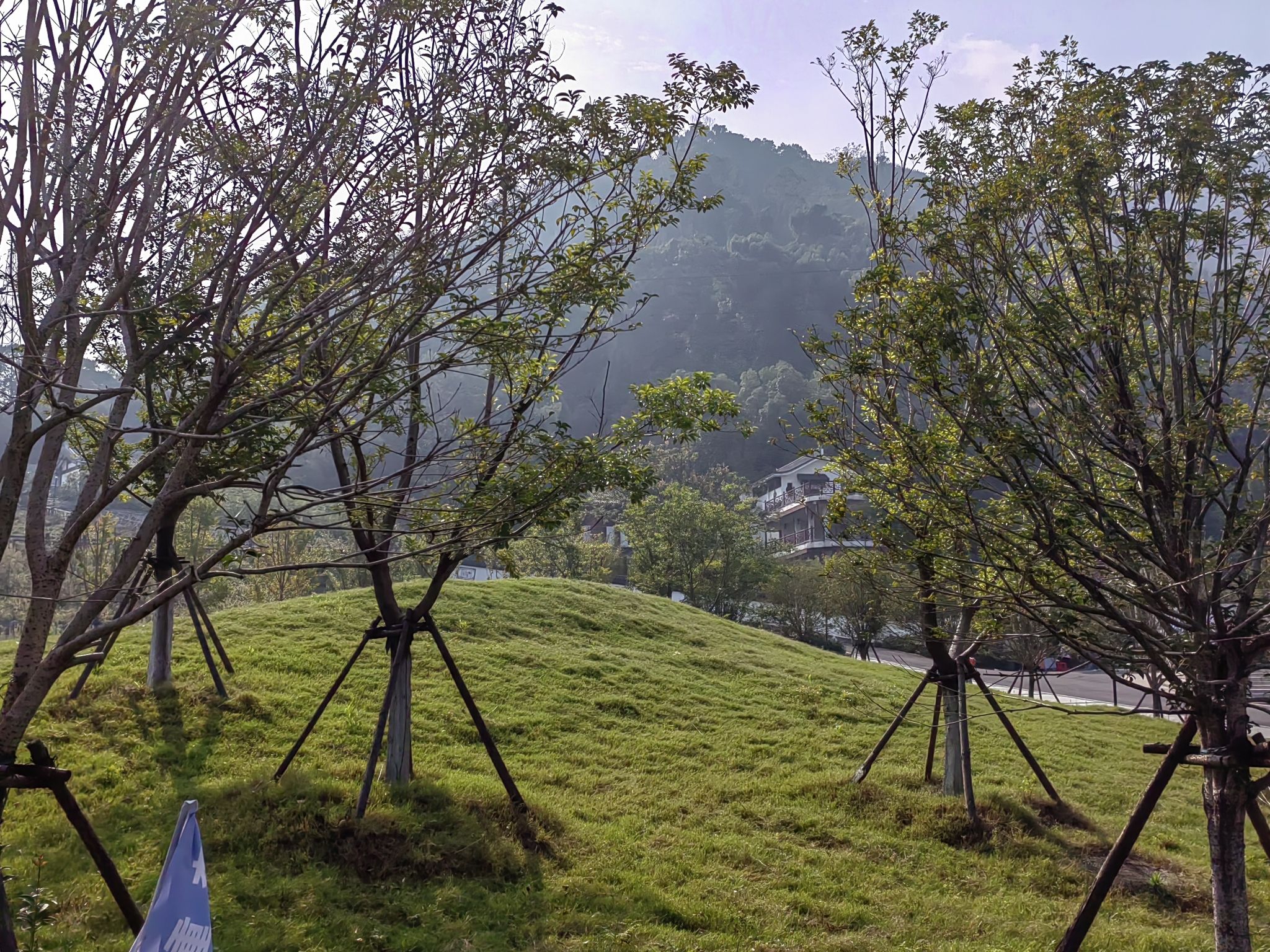 飞云公园旅行图片 3
