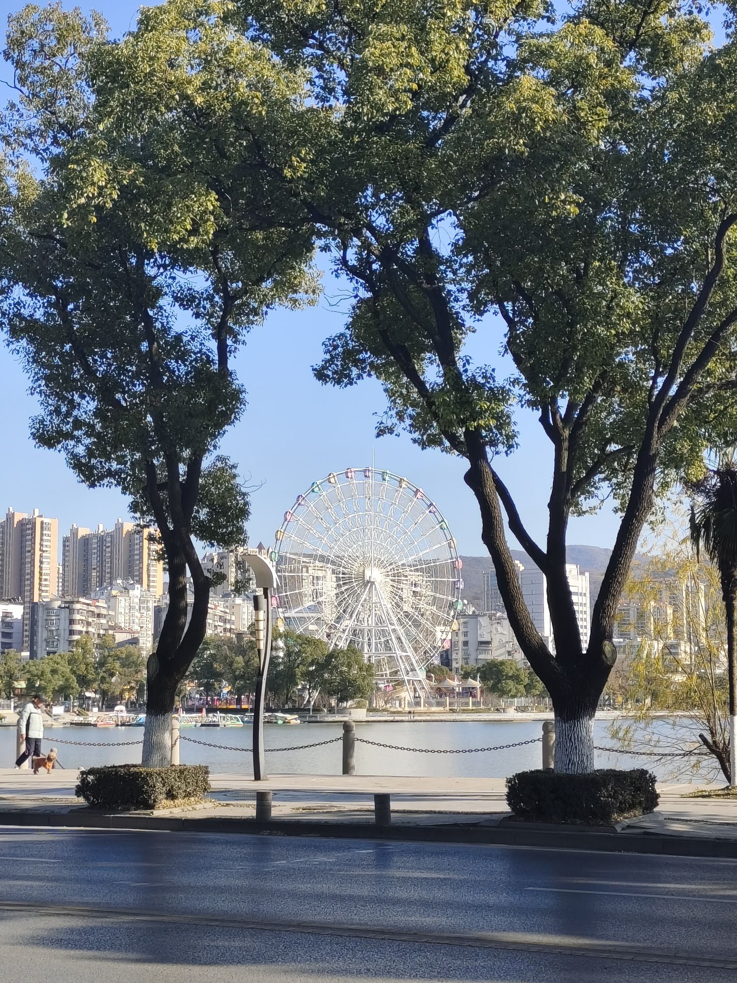 澄月岛旅行图片 3