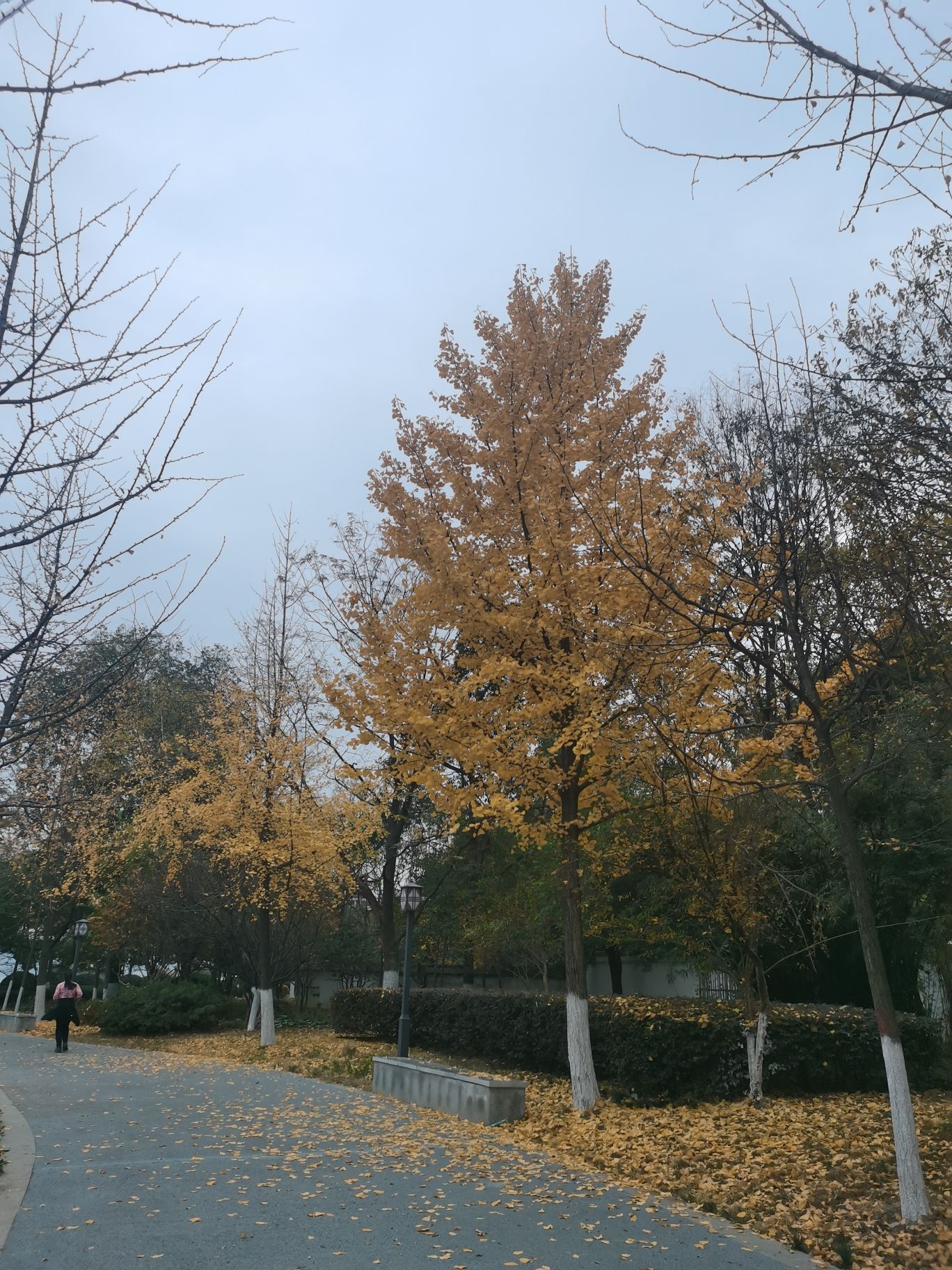 中窑江滩健康主题公园旅行图片 1