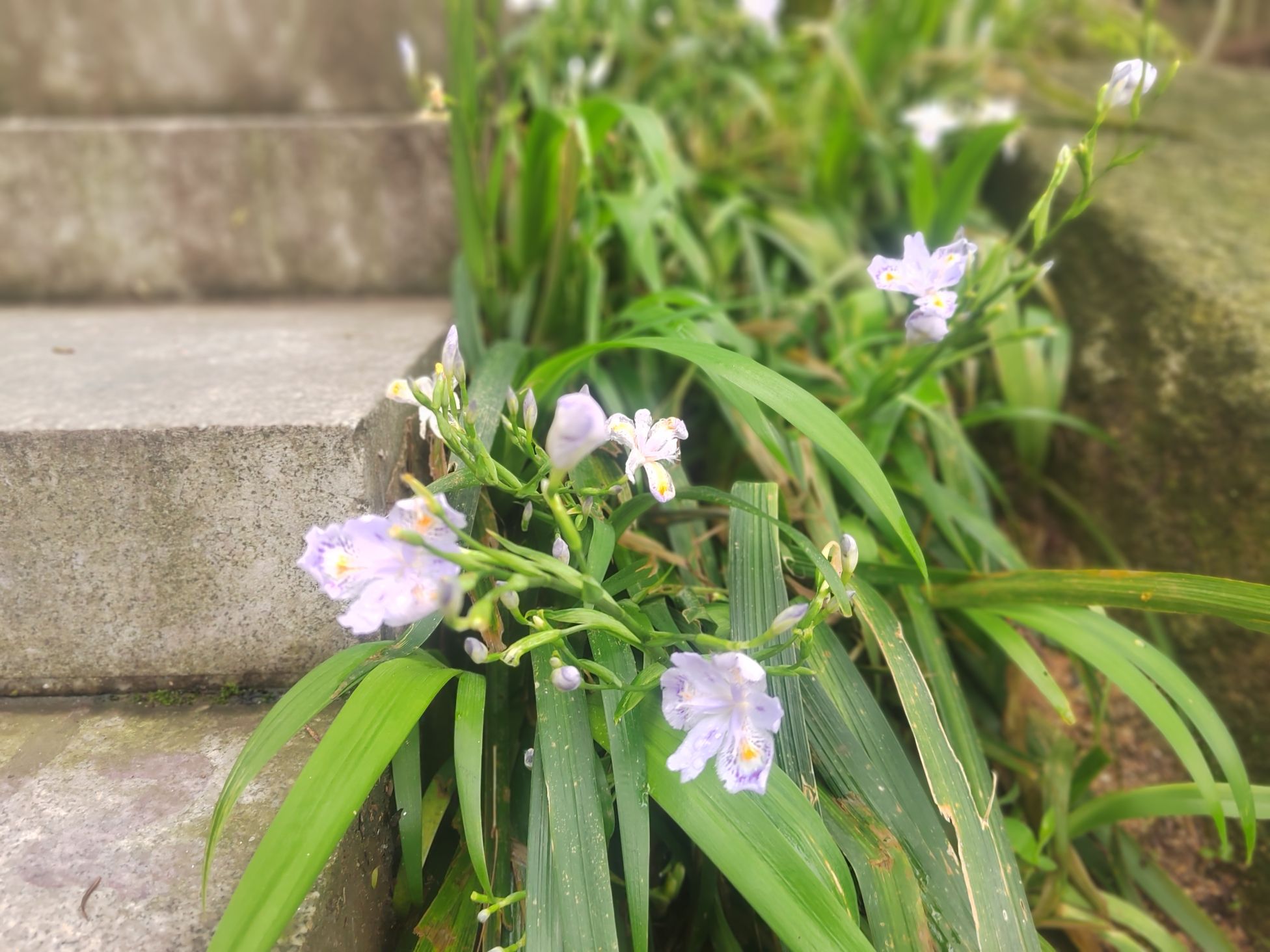 通城县锡山森林公园