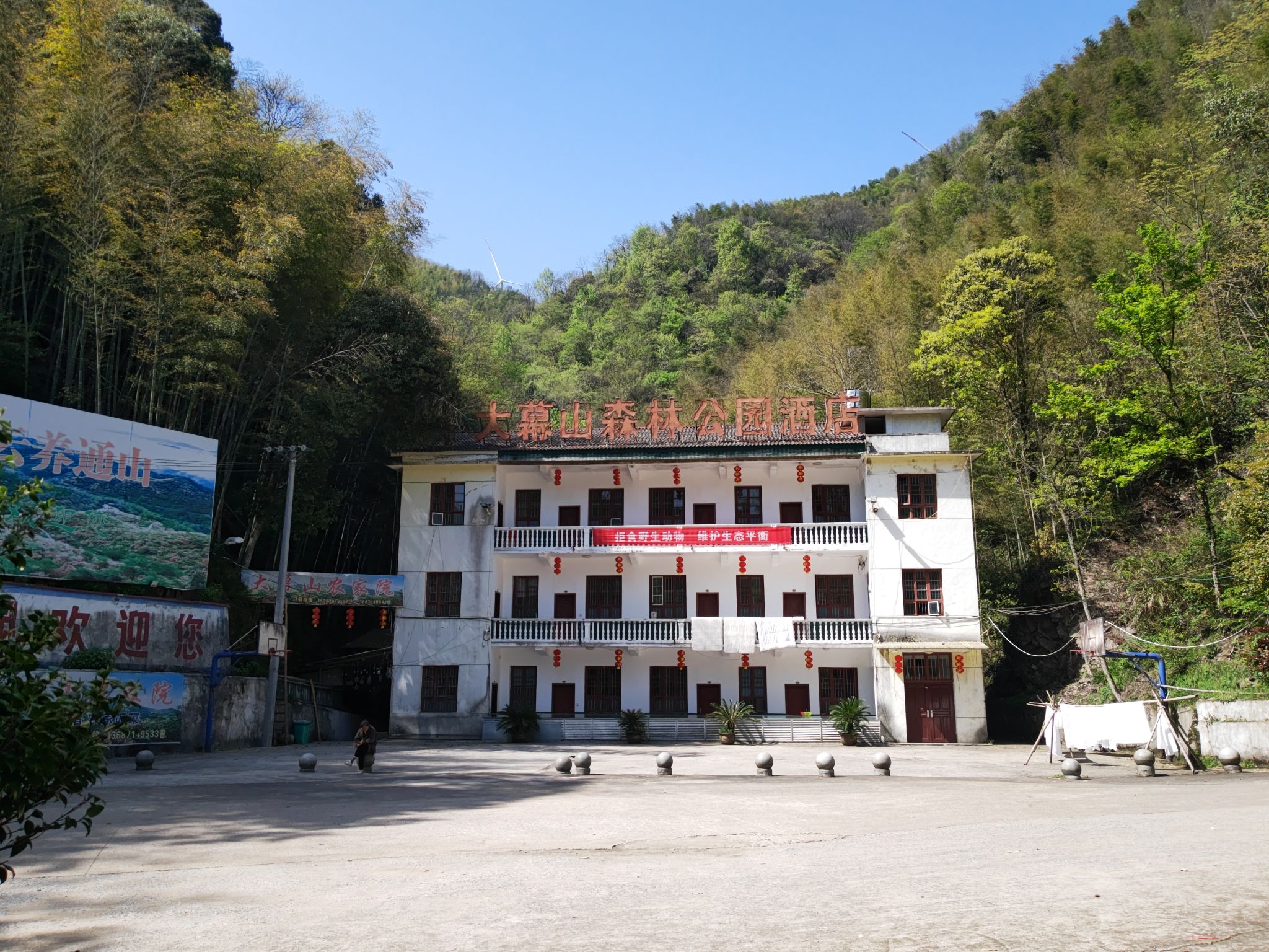 大幕山森林公园
