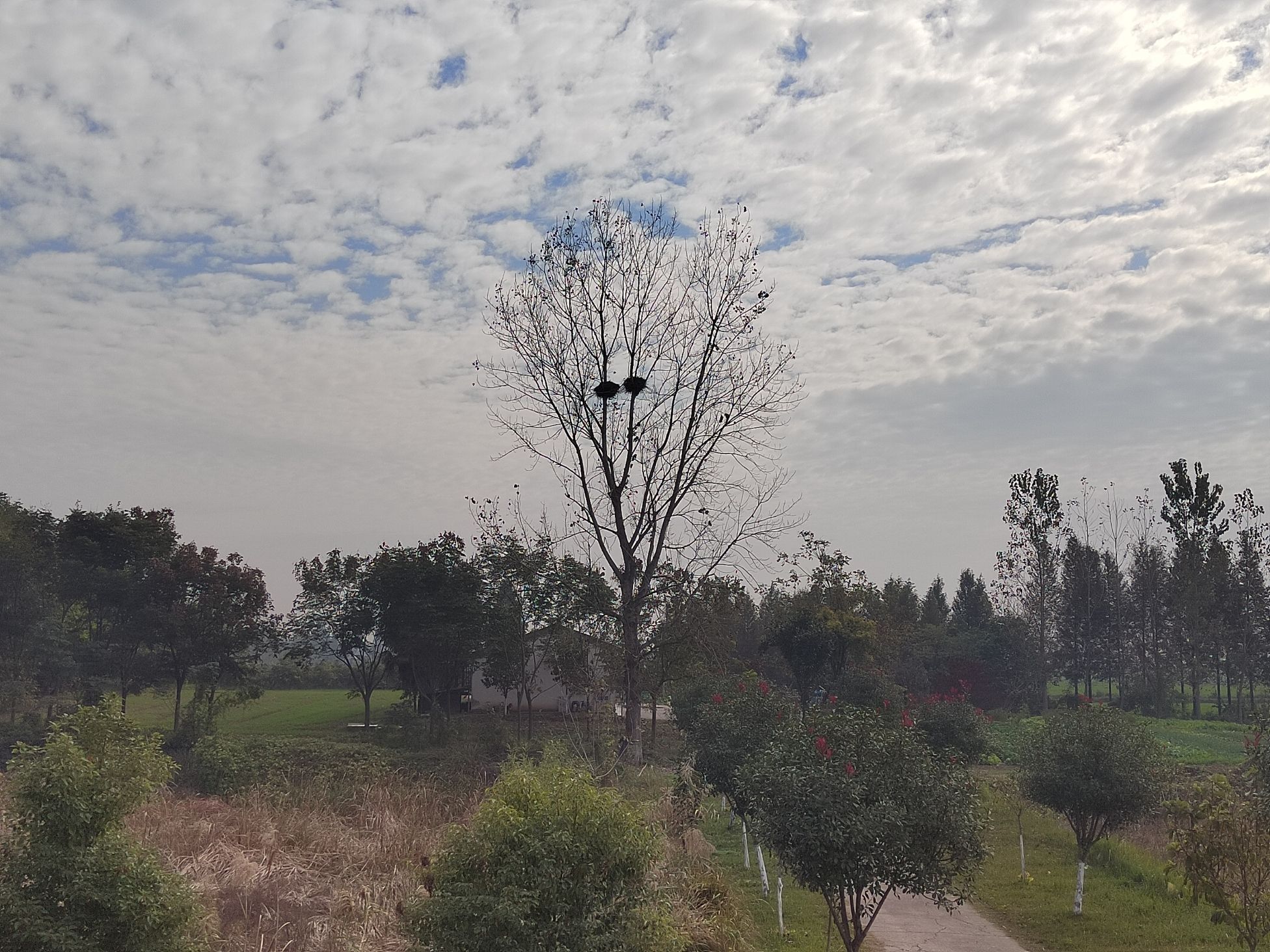 北闸风景区旅行图片 2