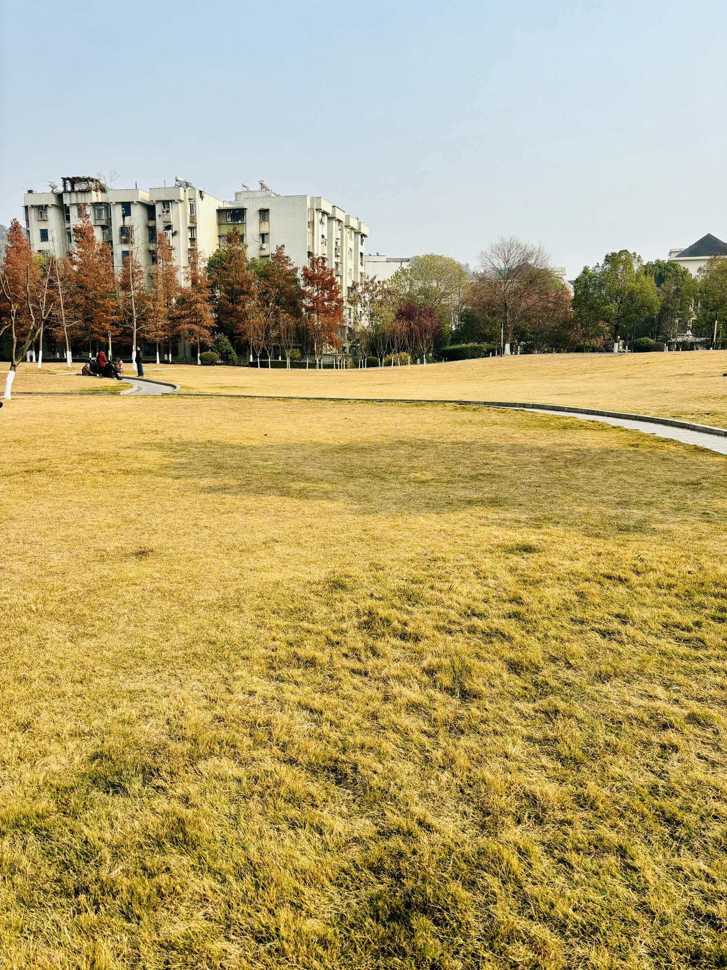王家河公园旅行图片 3