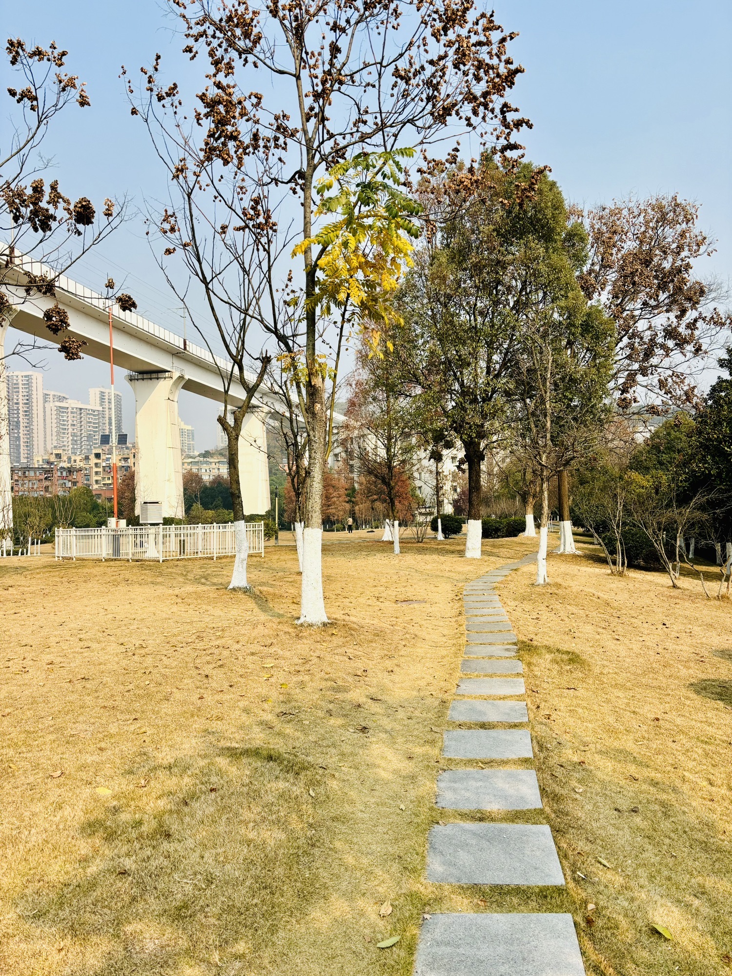 王家河公园旅行图片 2