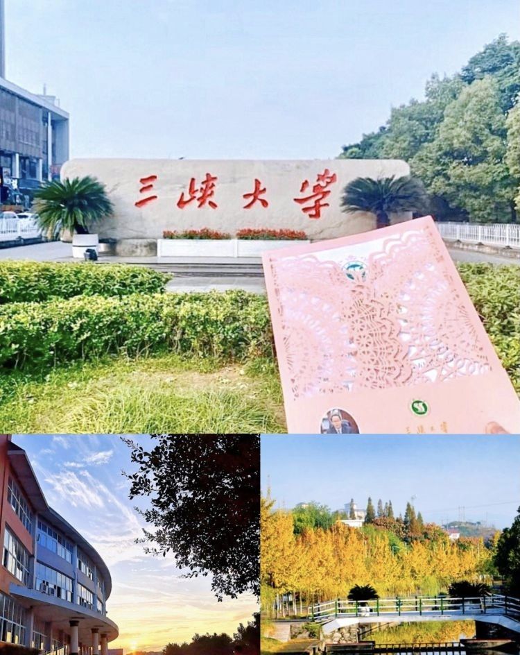 三峡大学