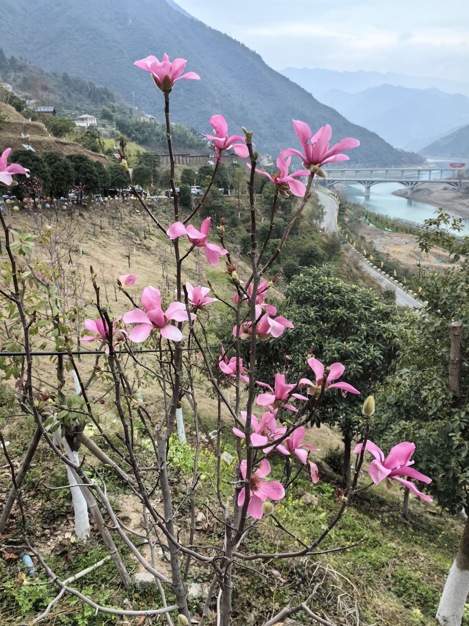 昭君村旅行图片 2