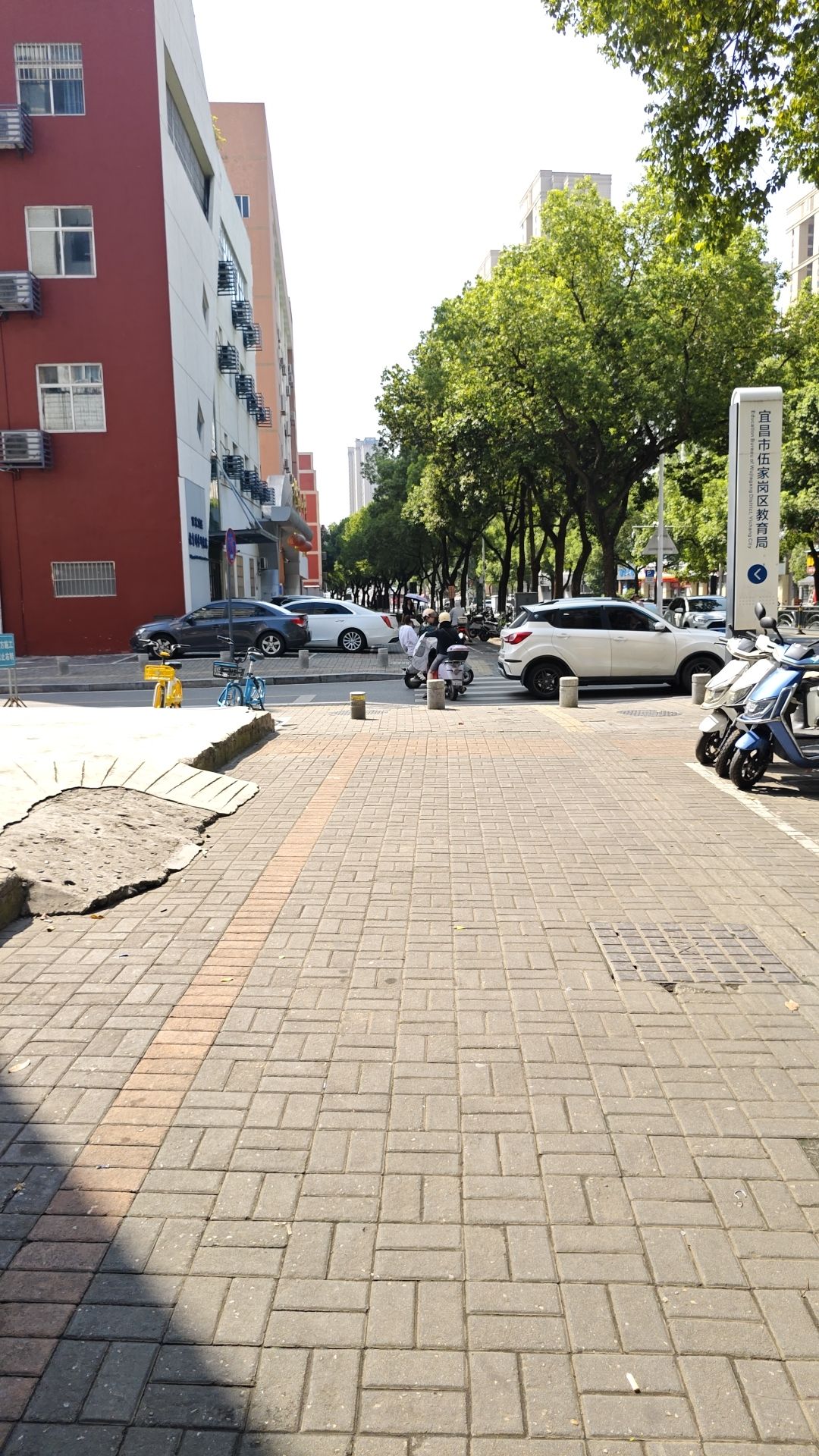 杨岔路小学