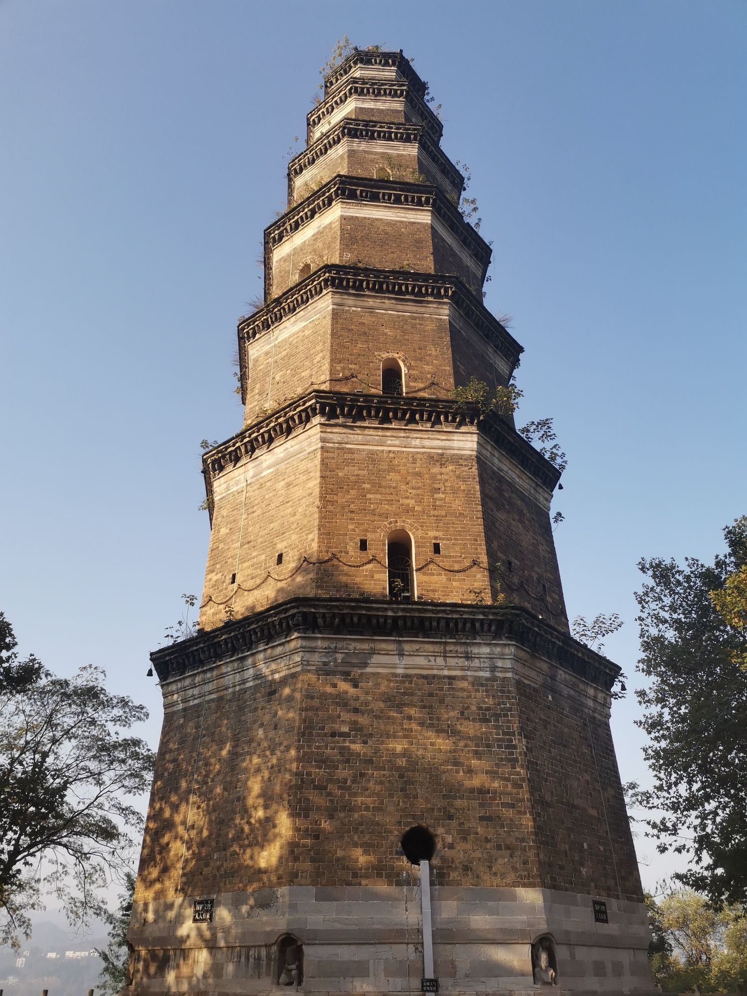 天然塔旅行图片 2