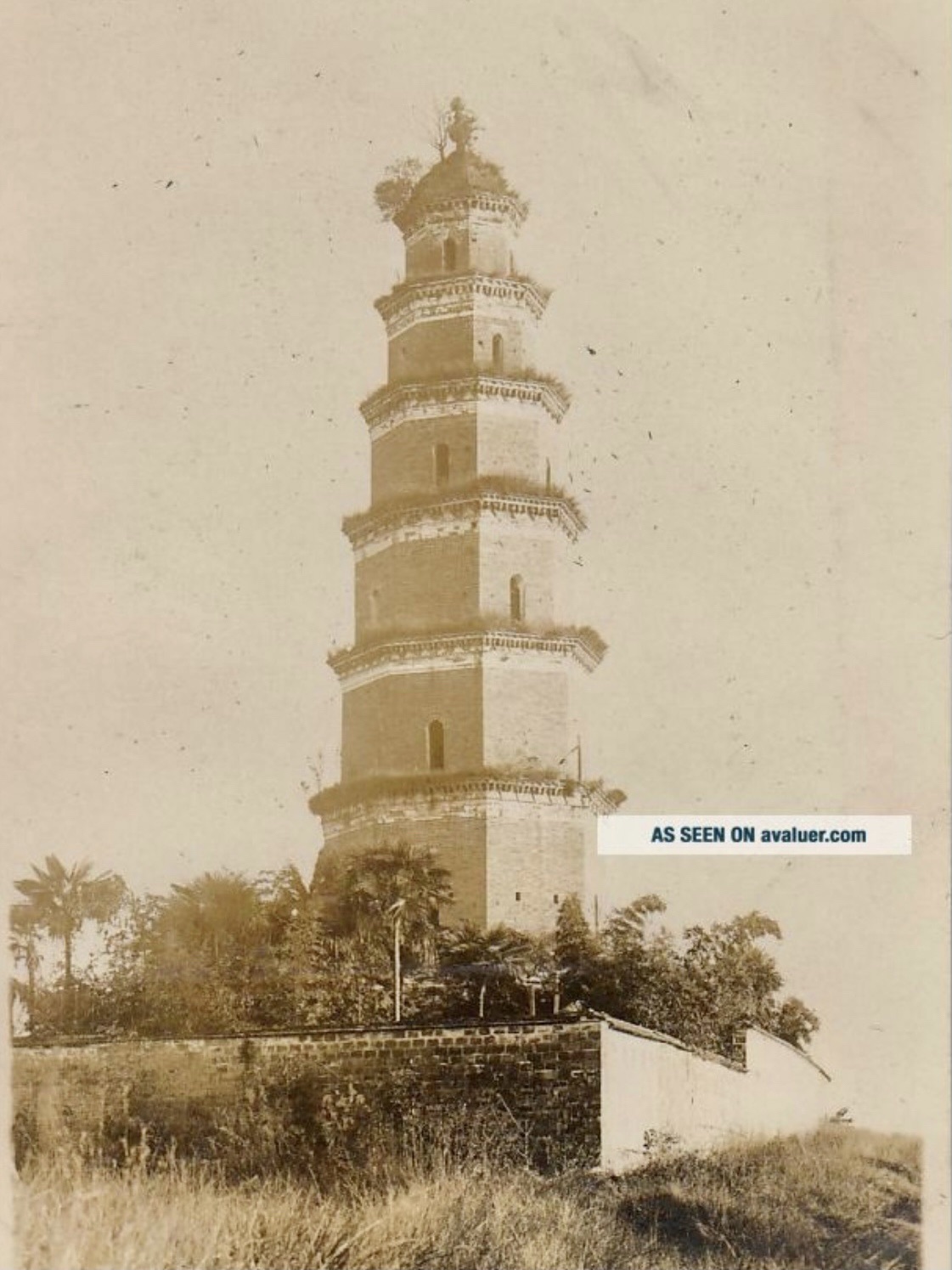 天然塔旅行图片 2