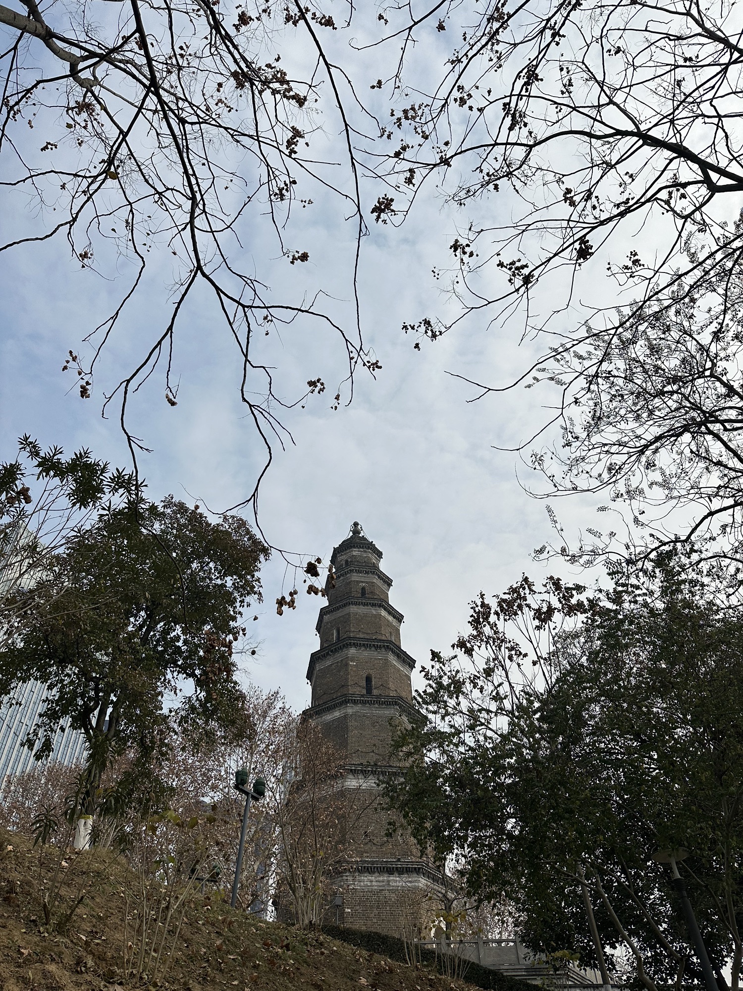 天然塔旅行图片 2