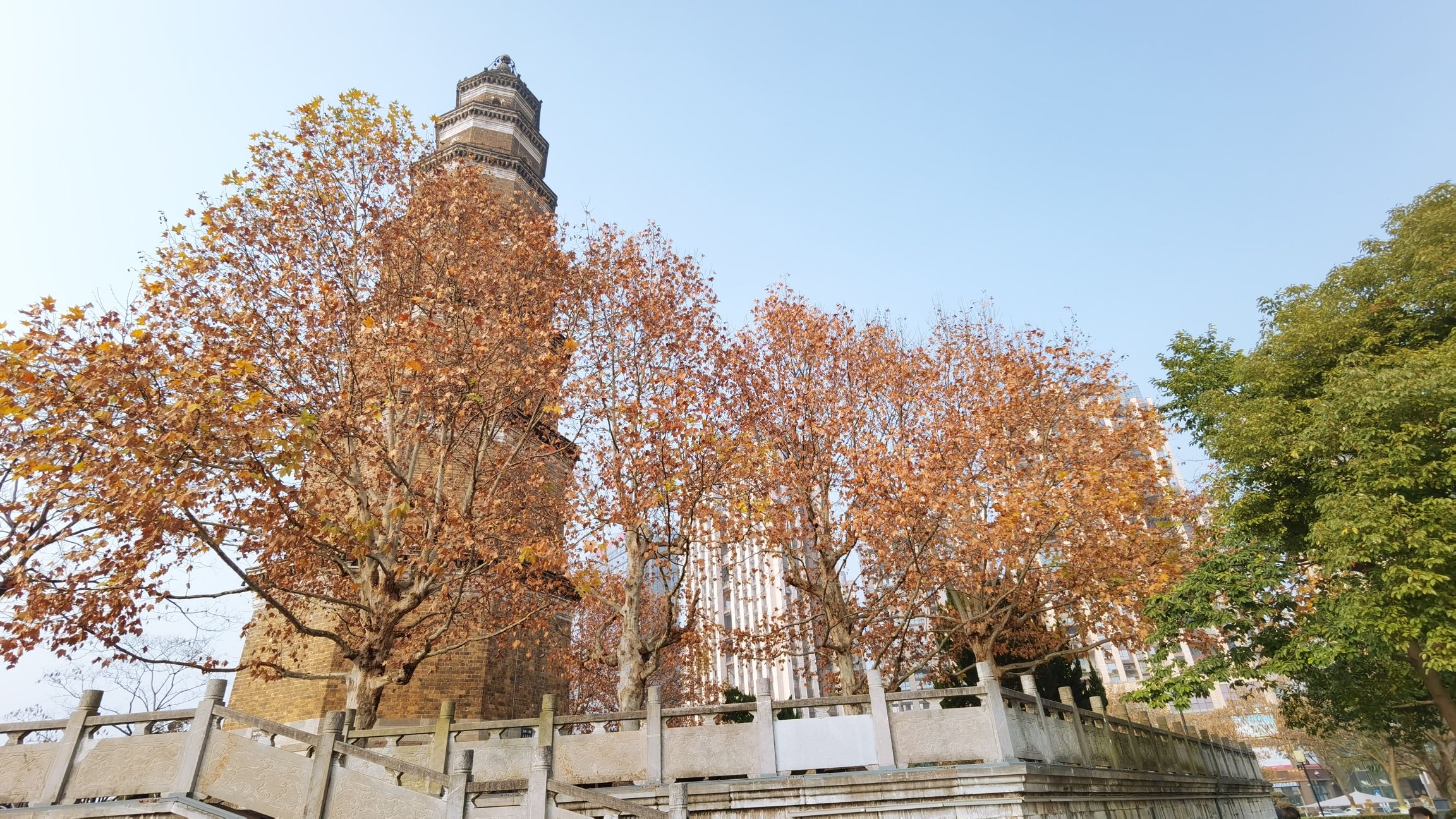 天然塔旅行图片 1