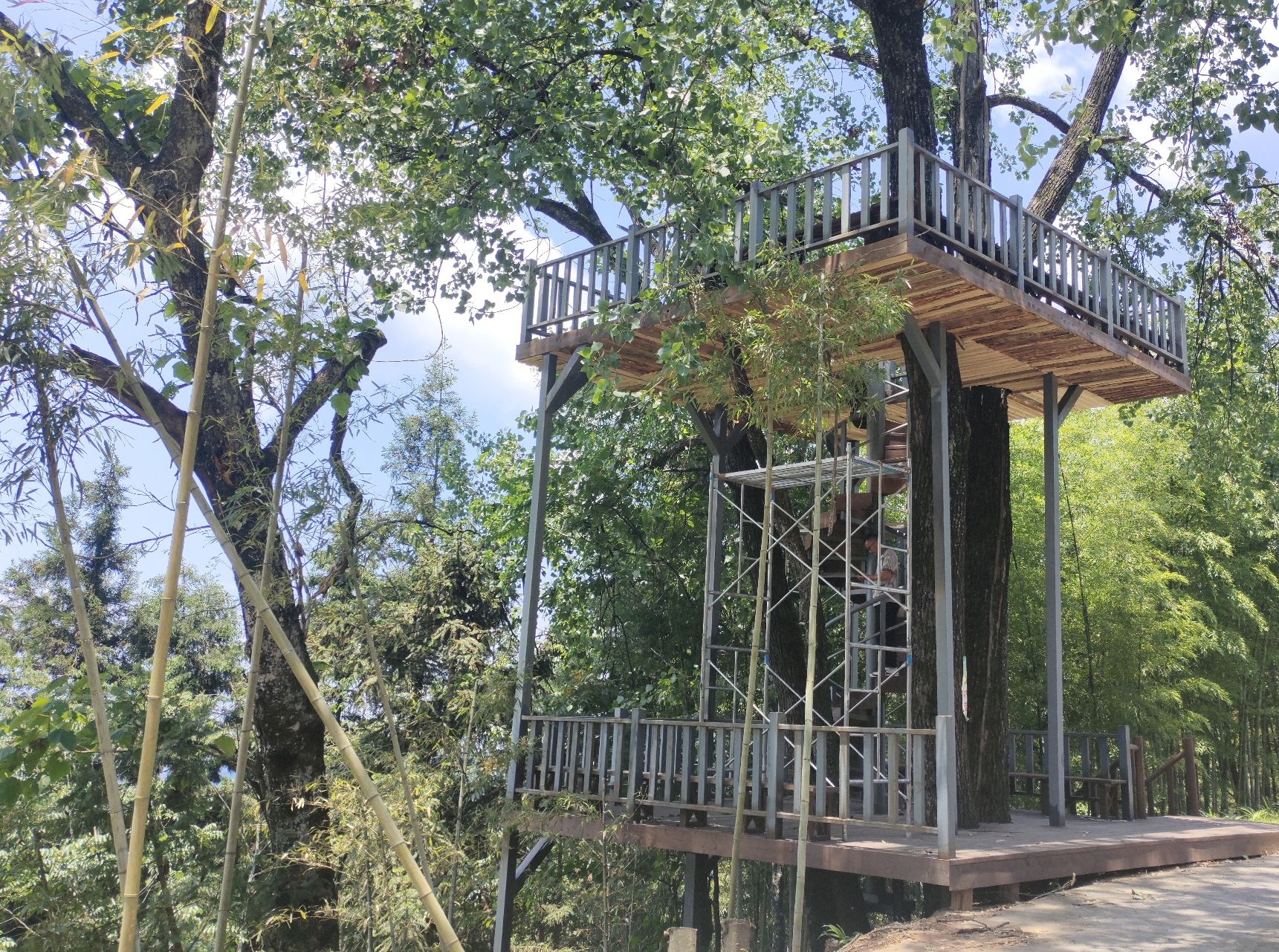 九华山旅行图片 3