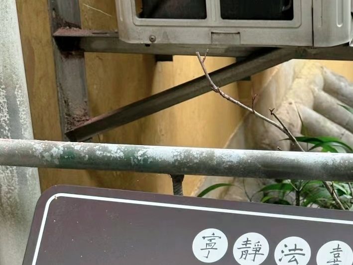 九华山旅行图片 3