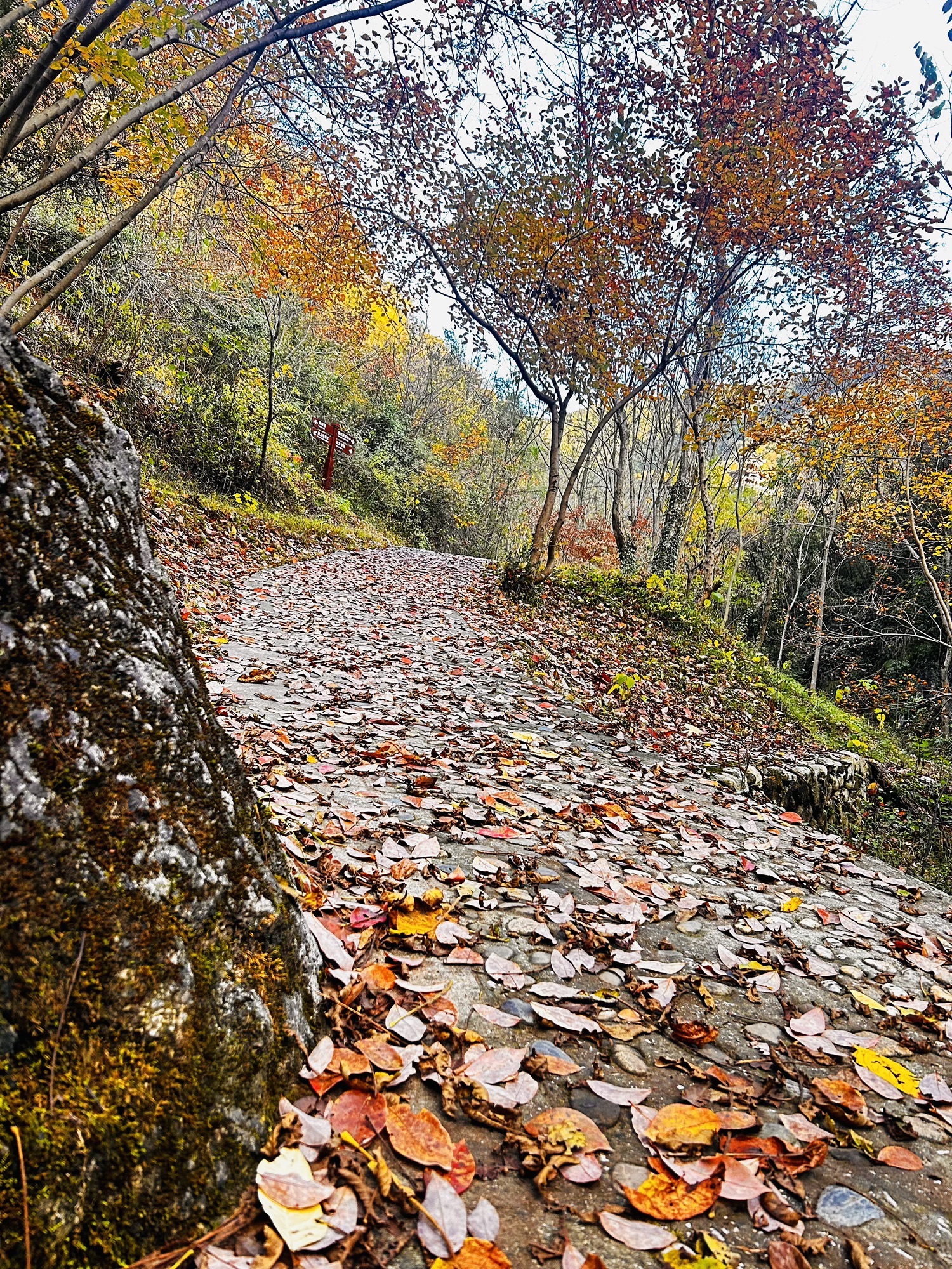 虎啸滩风景区旅行图片 2